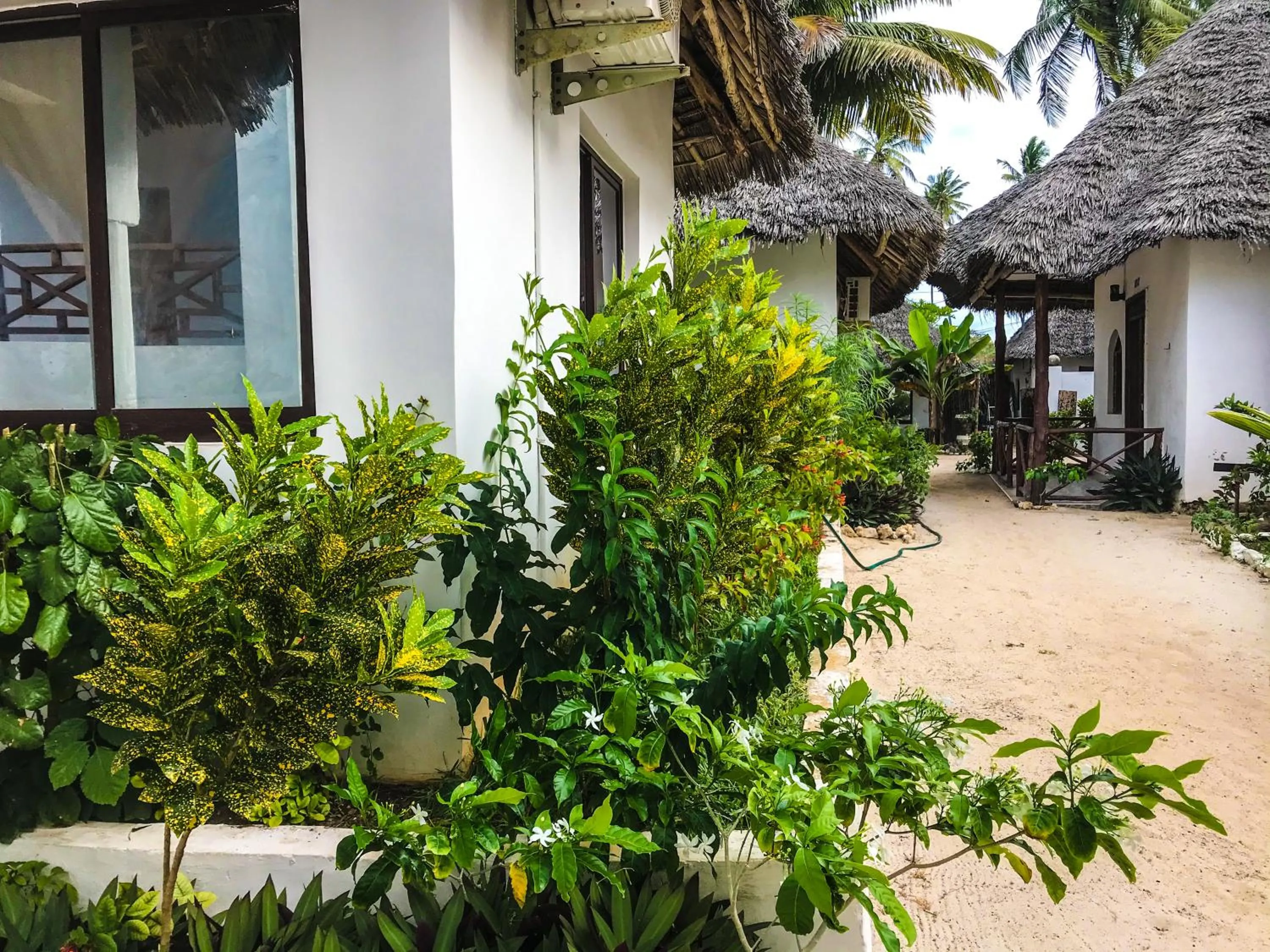 Facade/entrance in Jambiani White Sands Bungalows