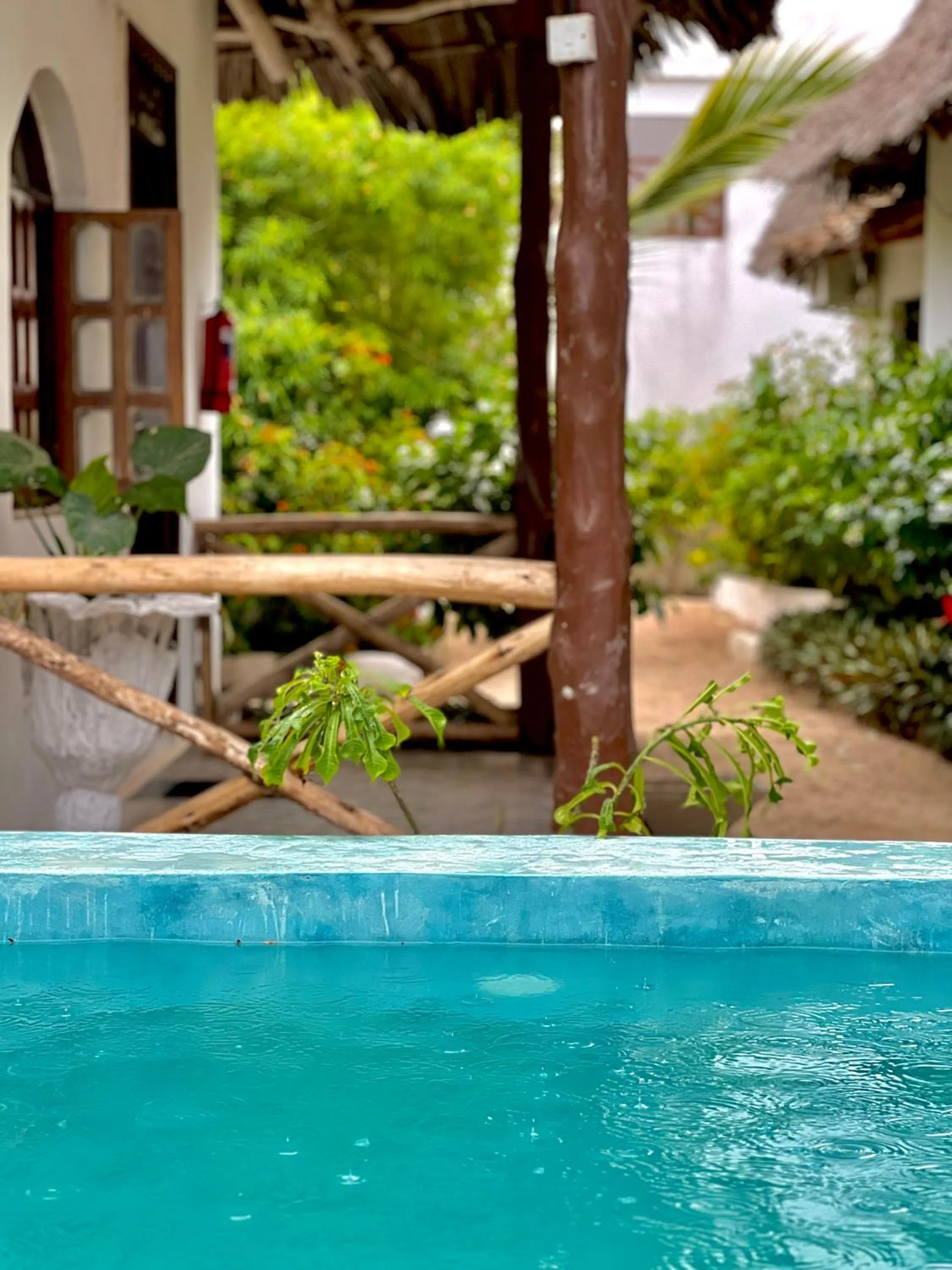 Garden in Jambiani White Sands Bungalows