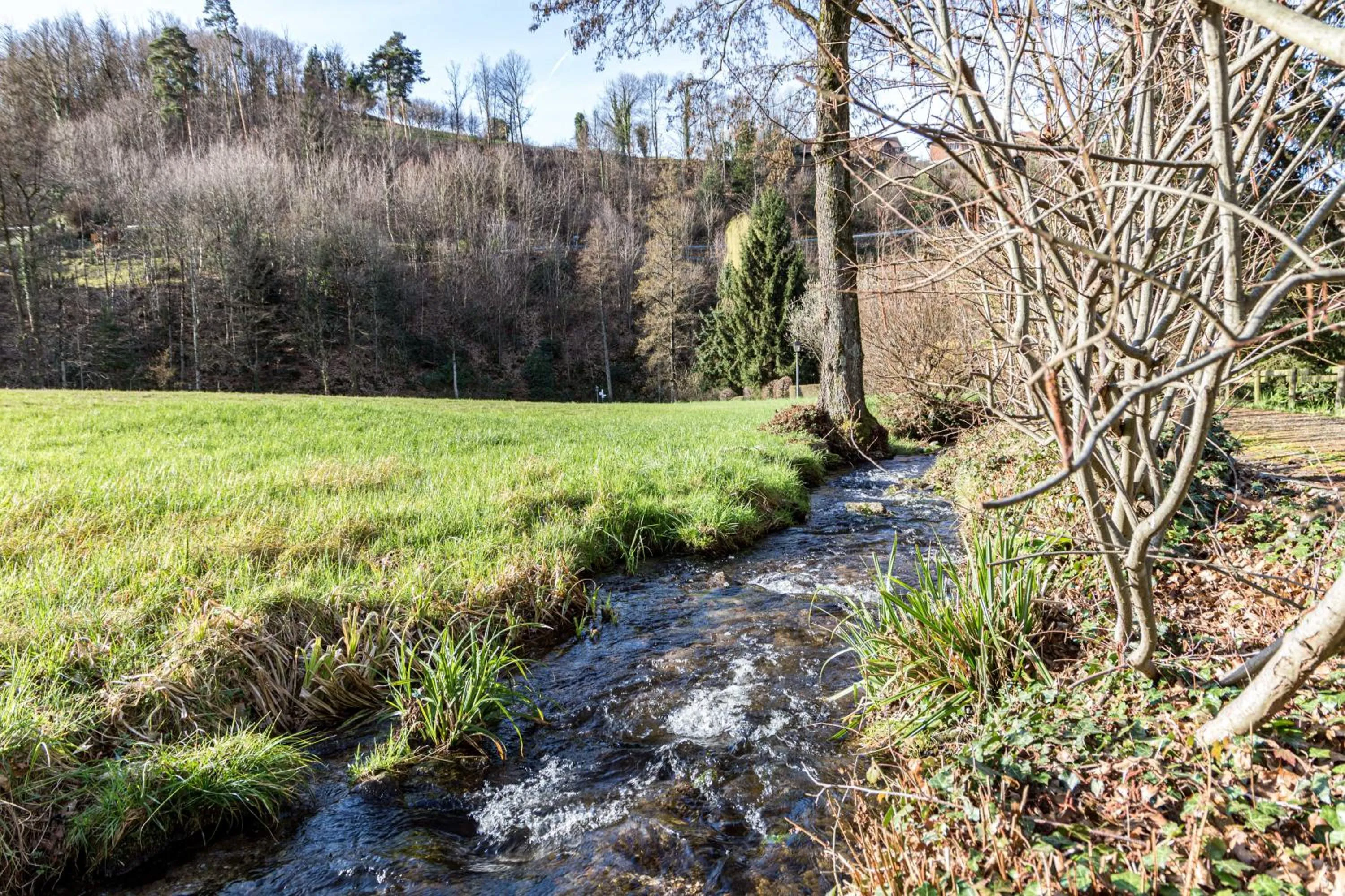 Natural landscape in living TIMELESS - Adler Apartments Sasbachwalden