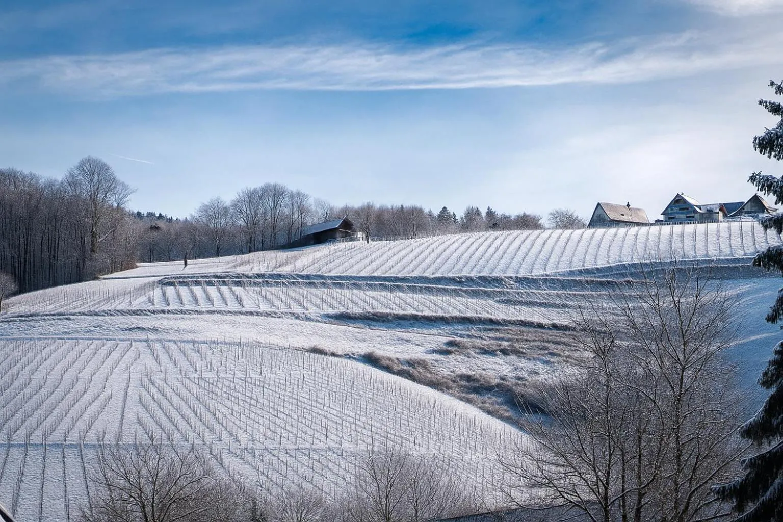Natural landscape in living TIMELESS - Adler Apartments Sasbachwalden