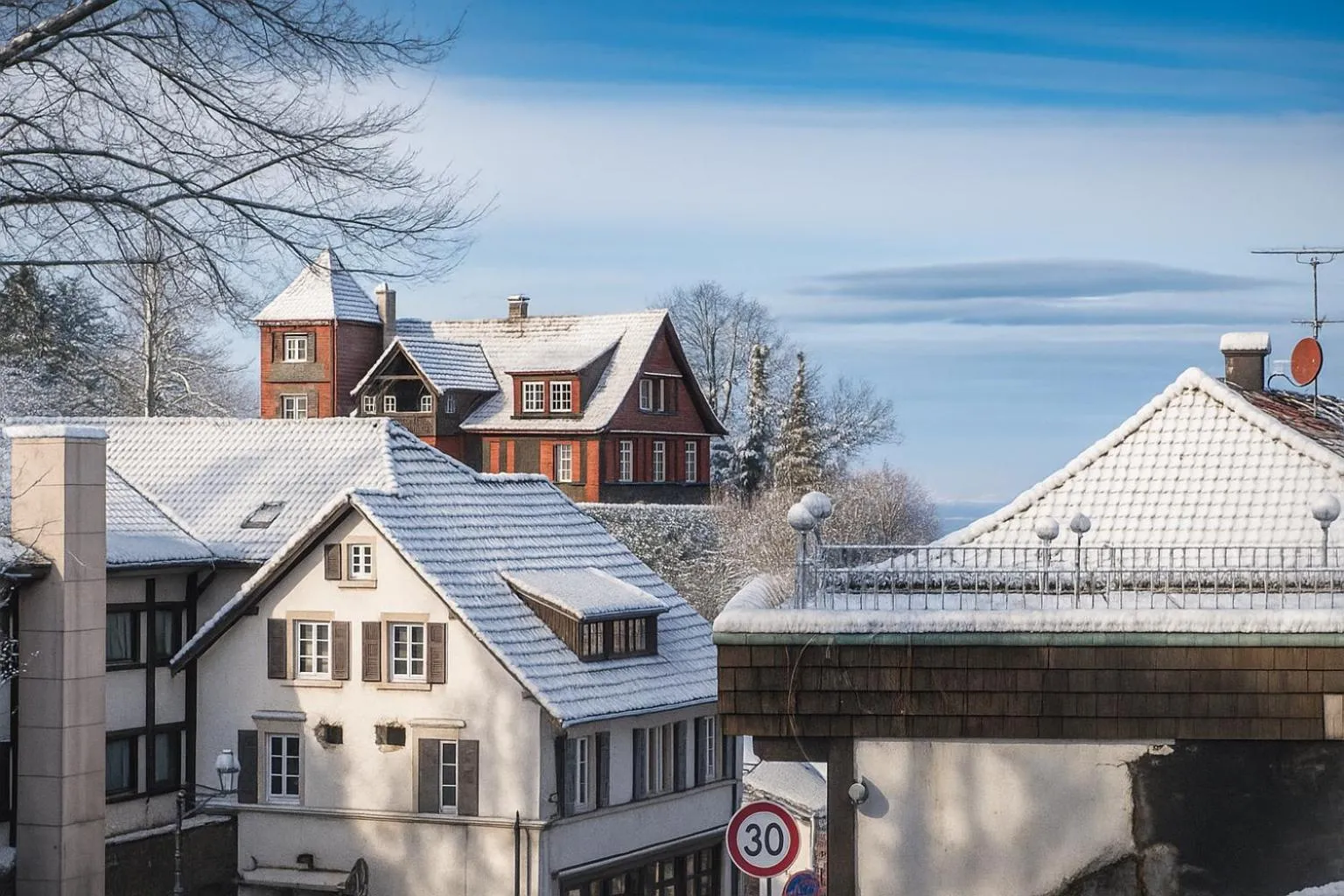 Natural landscape in living TIMELESS - Adler Apartments Sasbachwalden