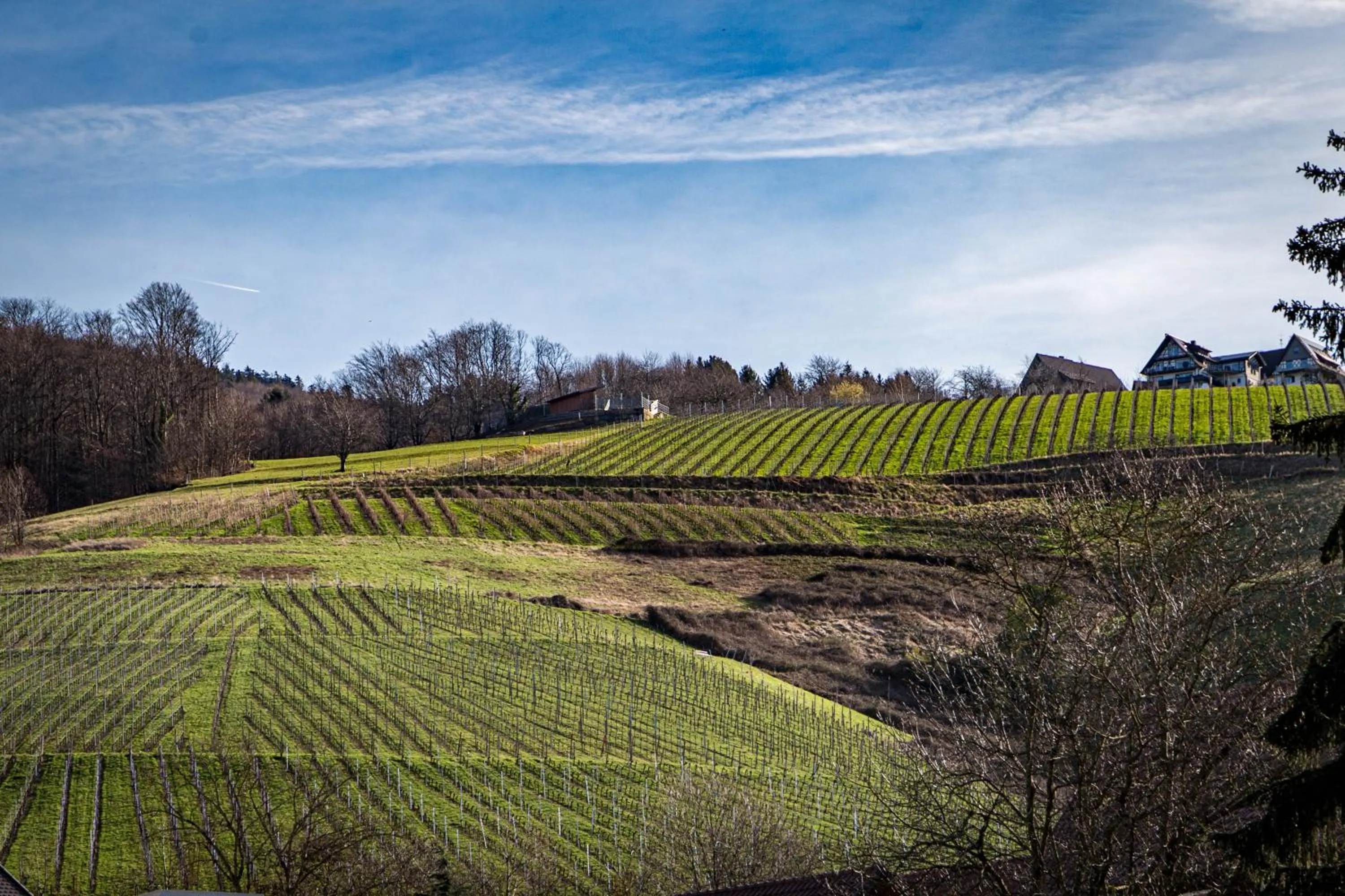 Spring in living TIMELESS - Adler Apartments Sasbachwalden