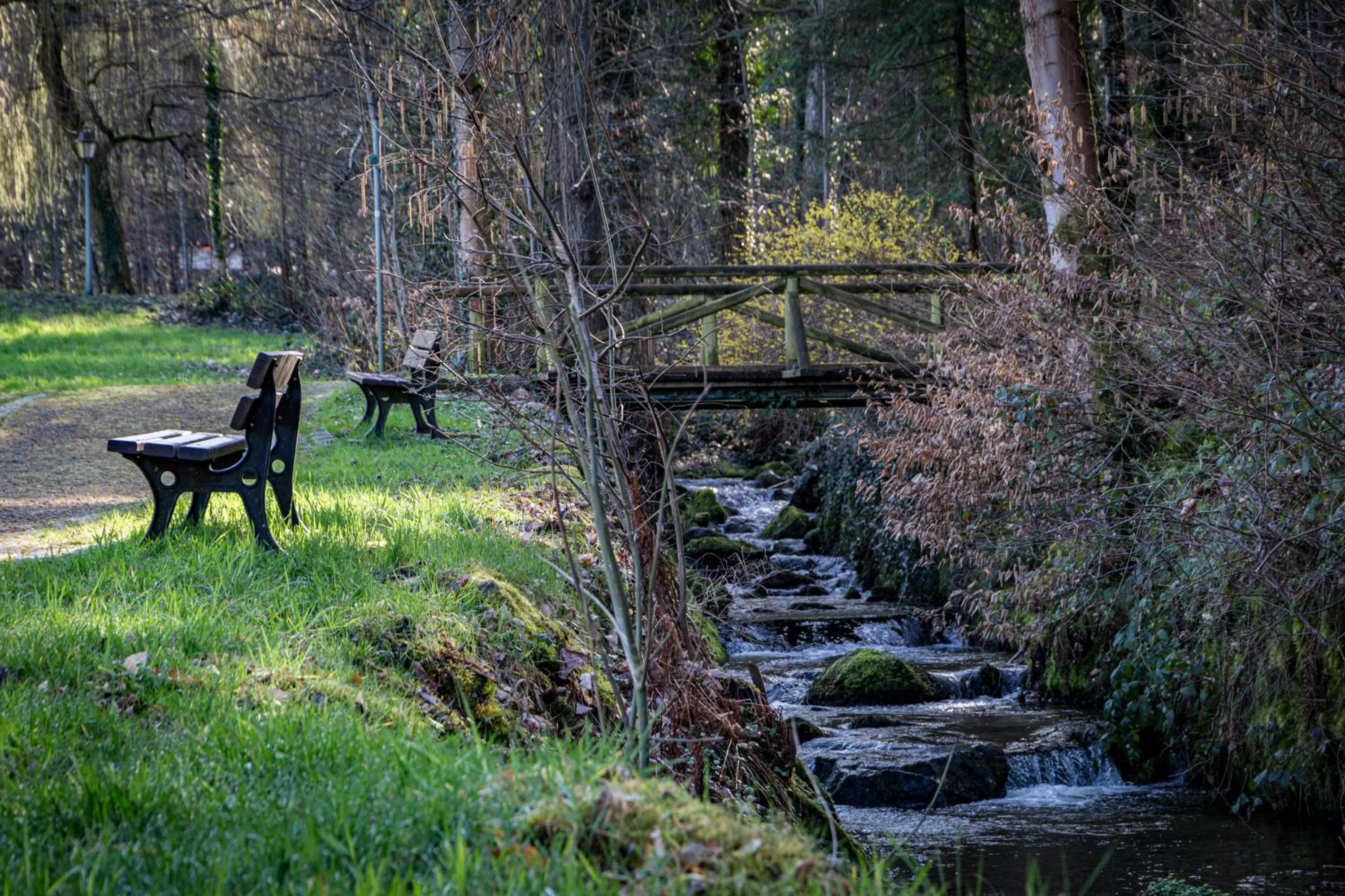 Natural landscape in living TIMELESS - Adler Apartments Sasbachwalden