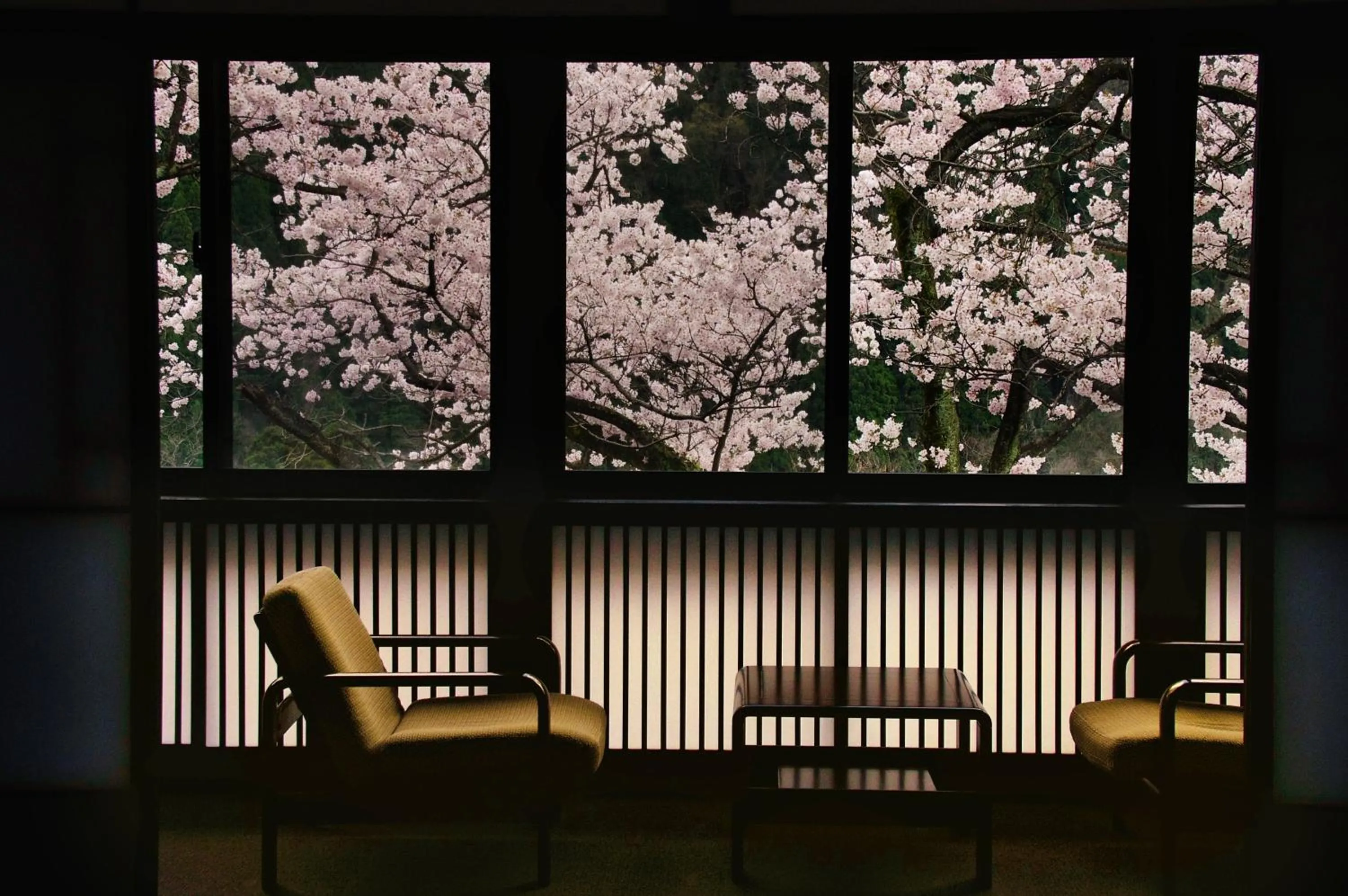 View (from property/room) in Sanrakuen