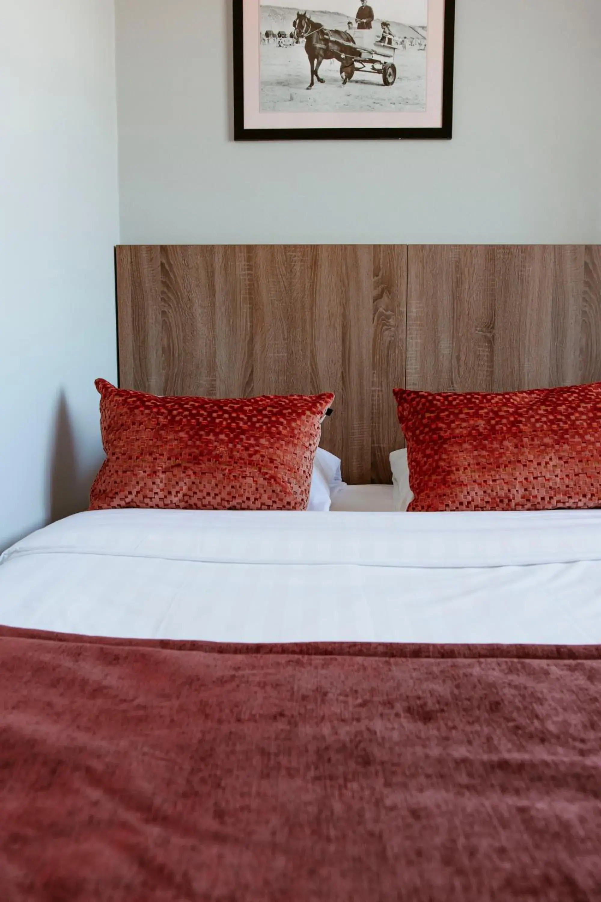 Single Room - single occupancy in Hotel Victoria Single Room - single occupancy in Hotel Victoria