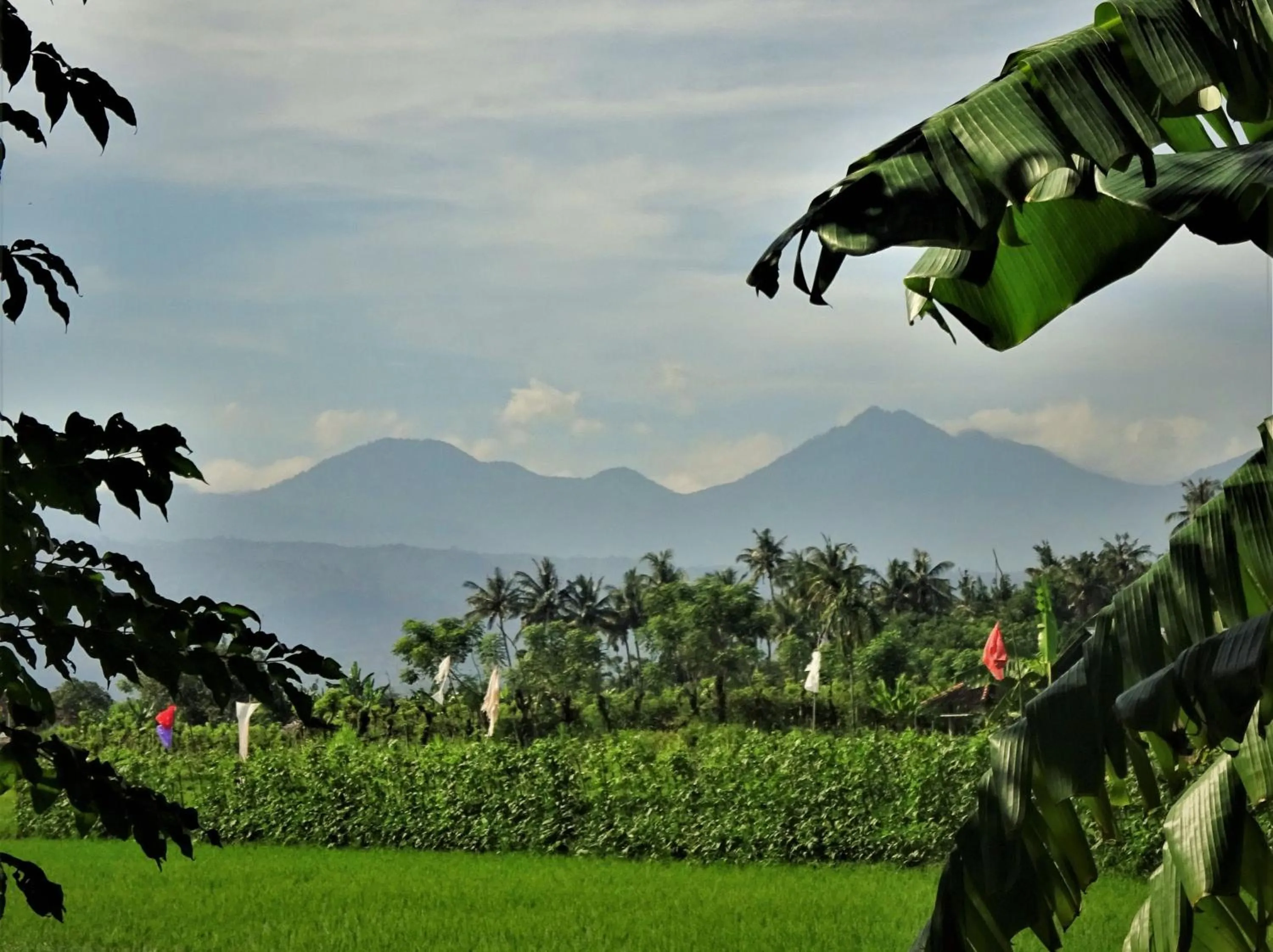 Natural landscape in Mayo Resort