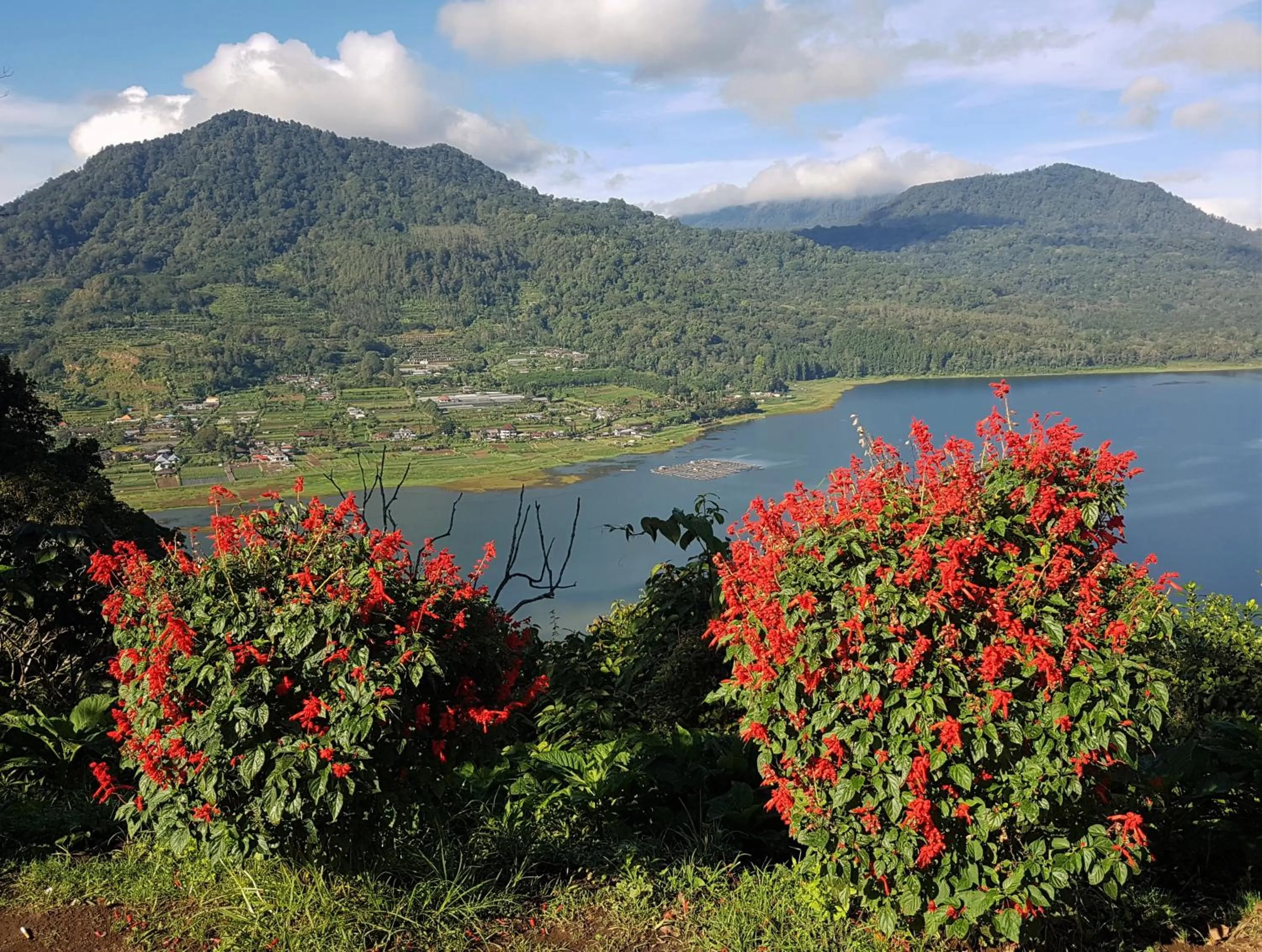 Natural landscape in Mayo Resort