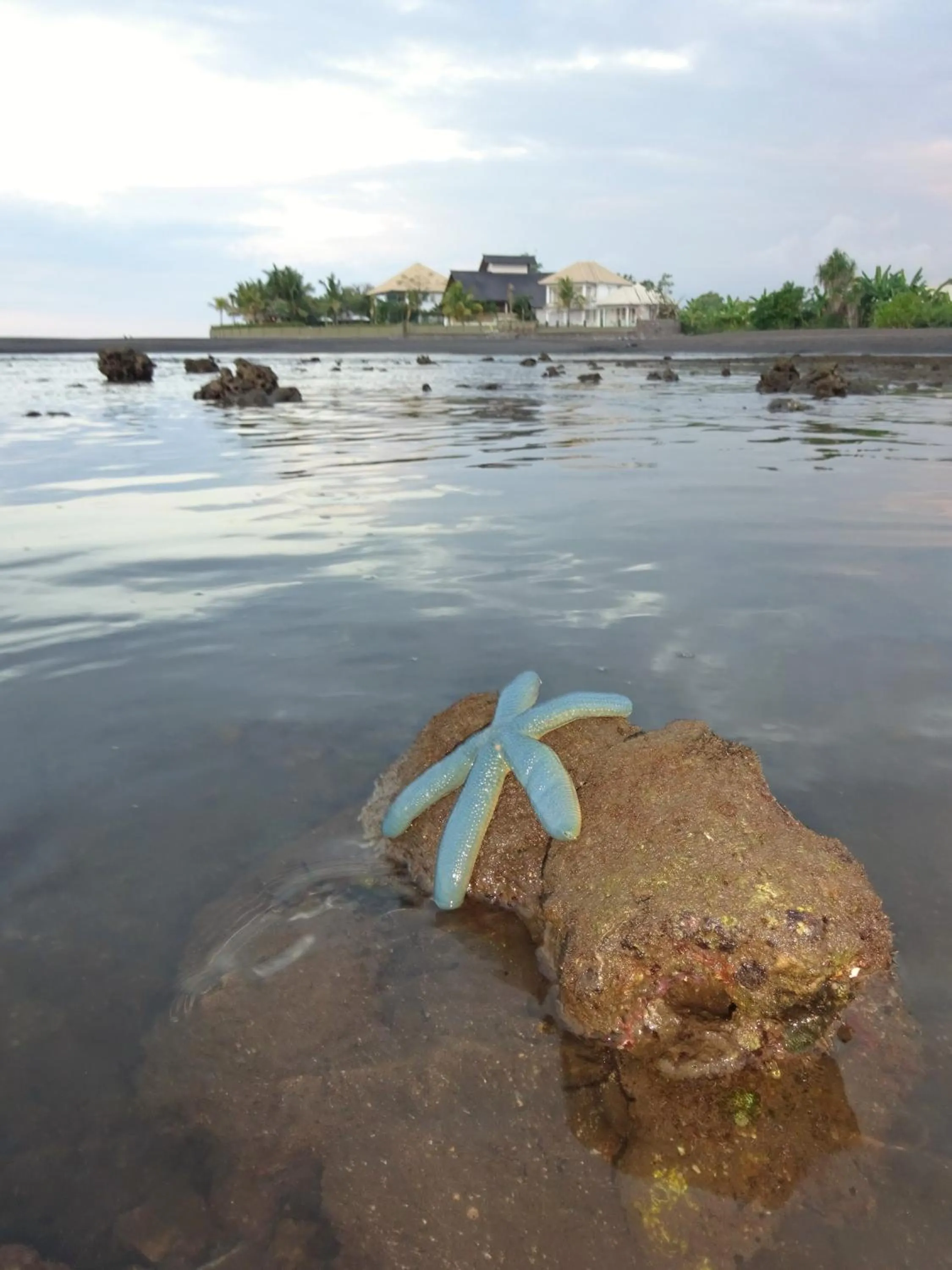 Sea view in Mayo Resort