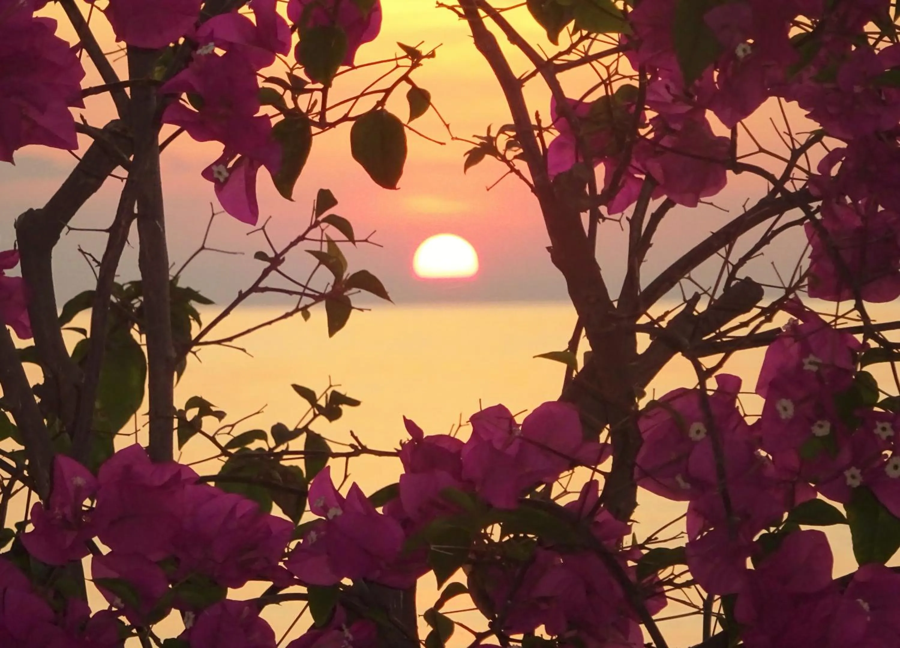 Sunset in Mayo Resort