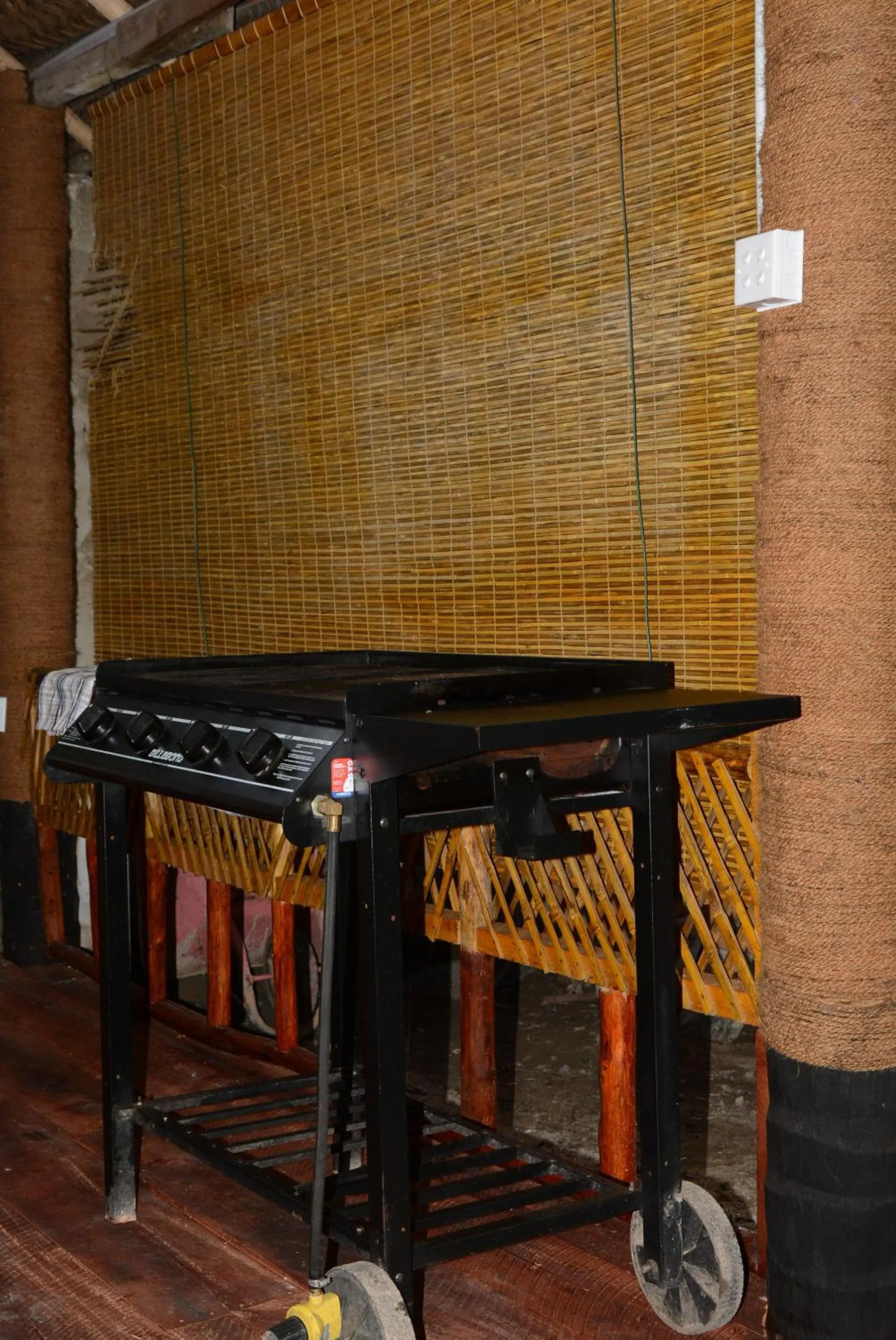BBQ facilities in Hotel Thilon