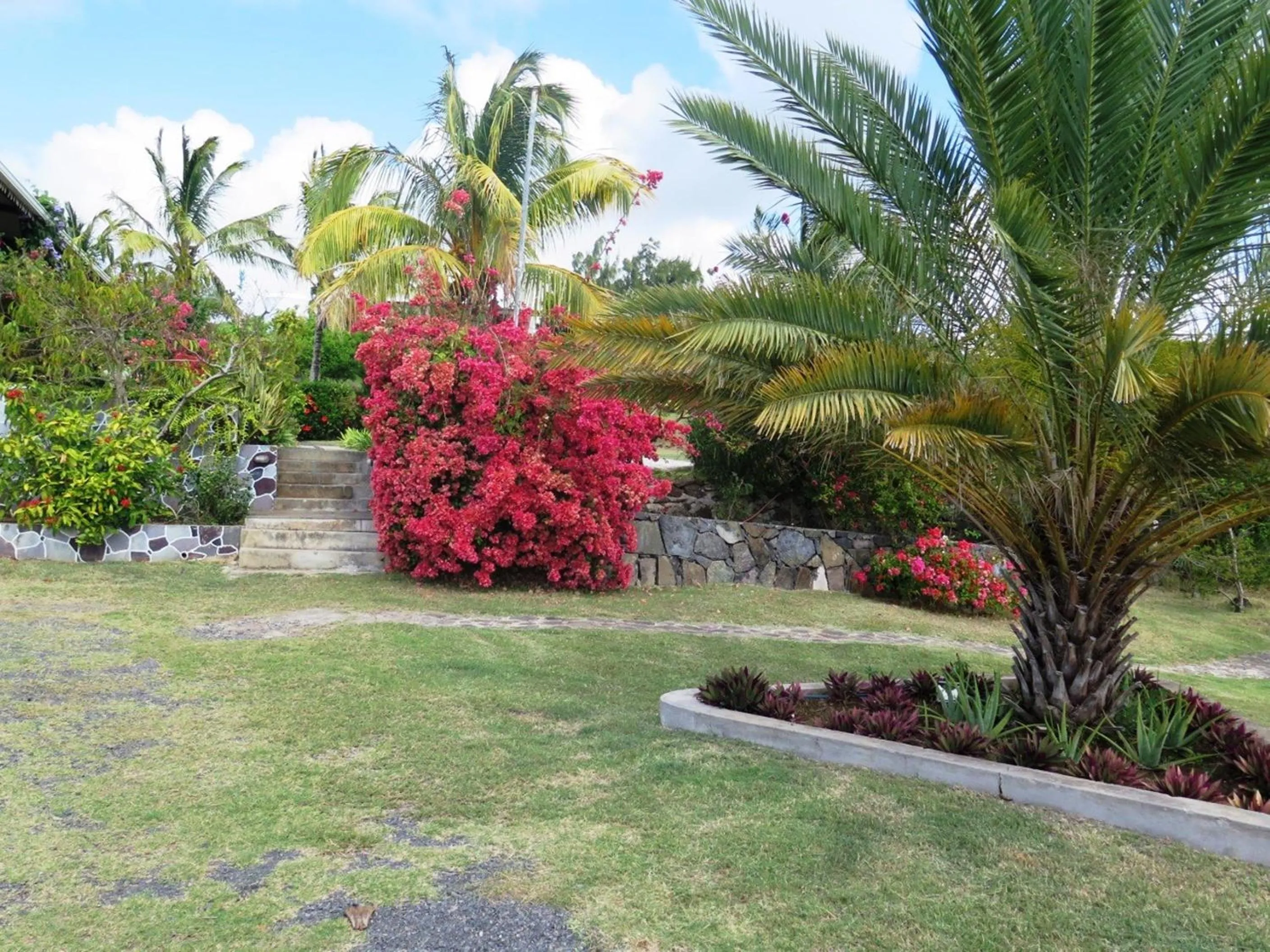 Garden in Residence Foulsafat