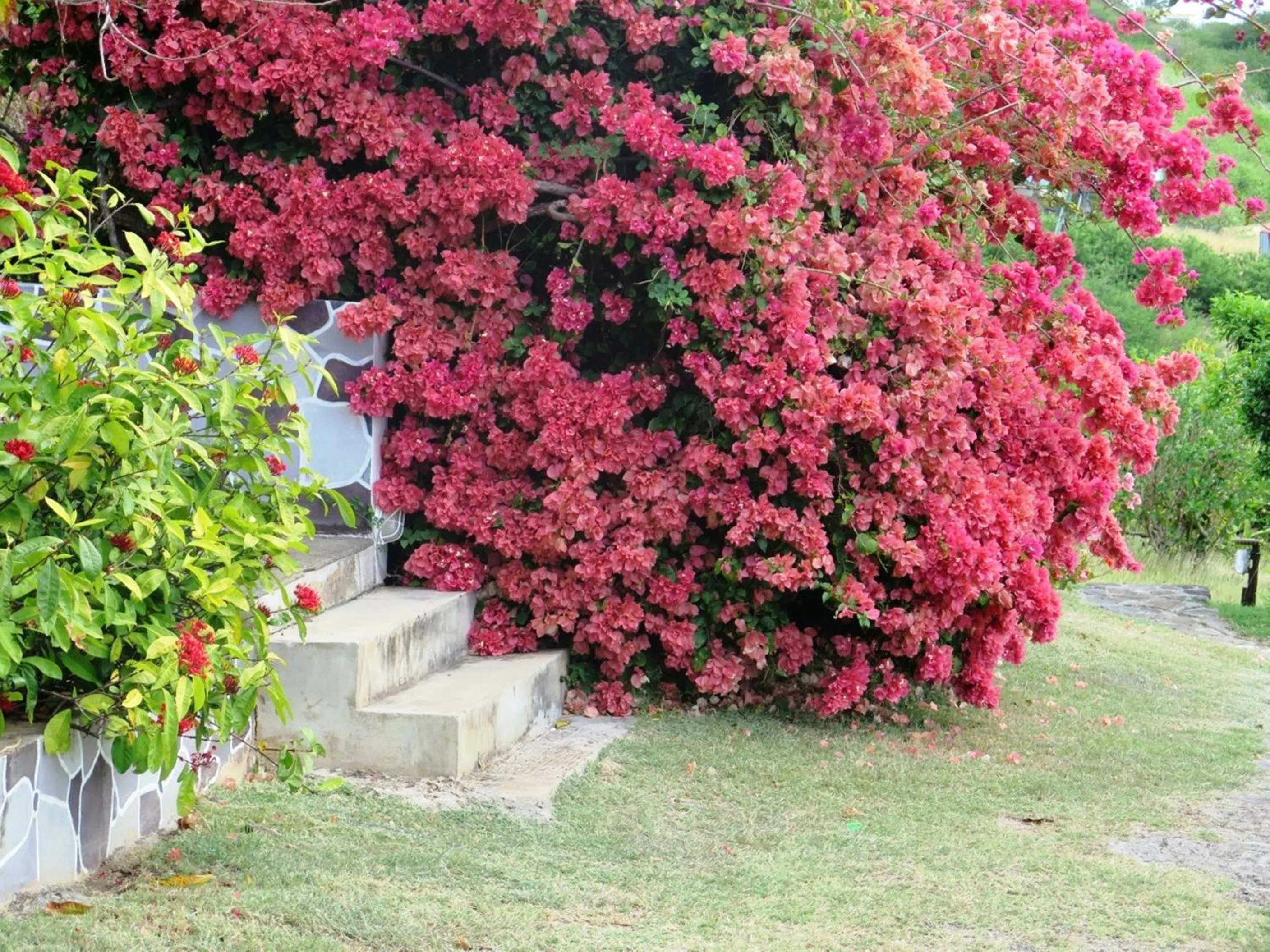 Garden in Residence Foulsafat