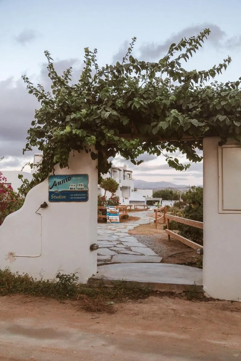 Property building in Annio studios