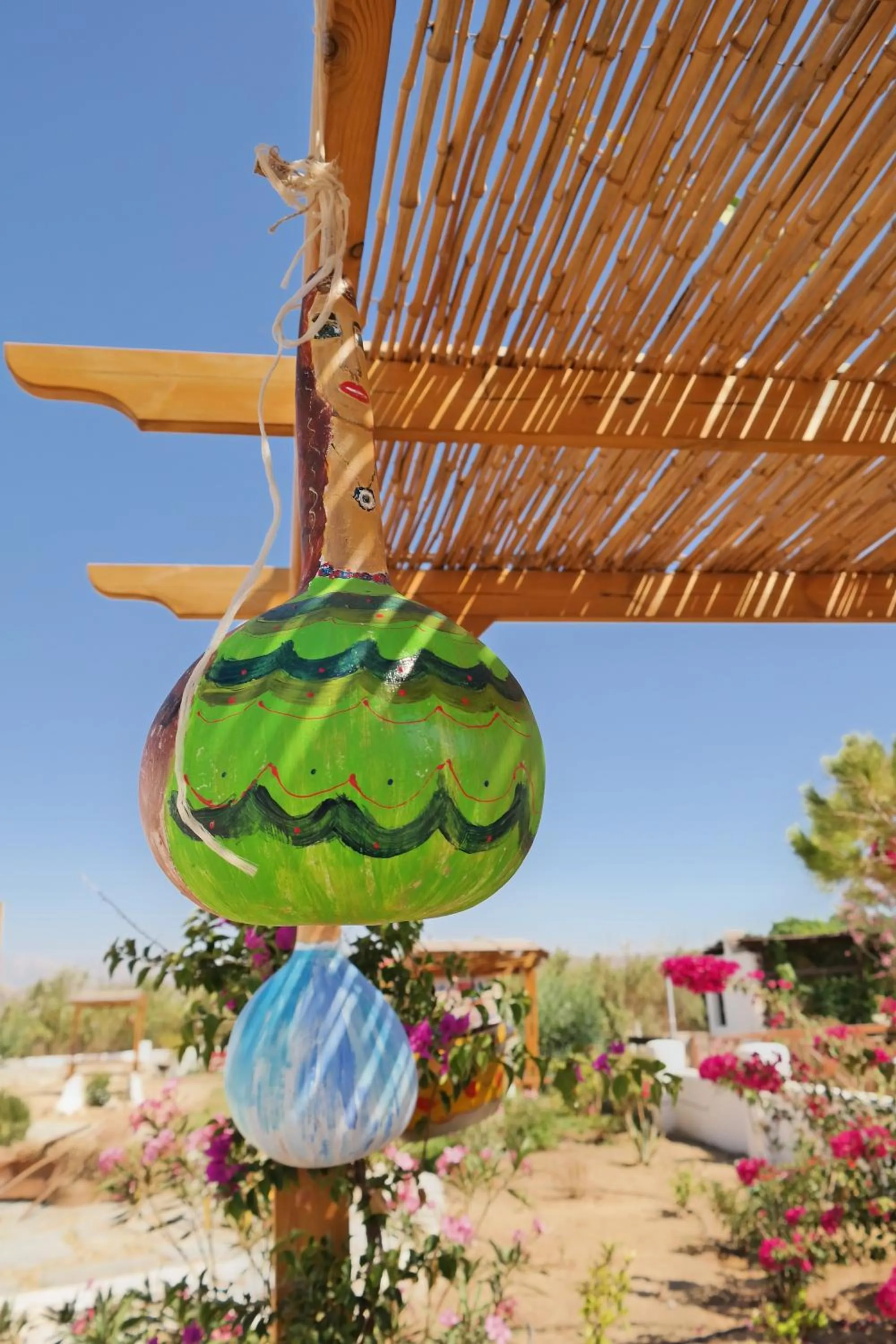 Garden in Annio studios