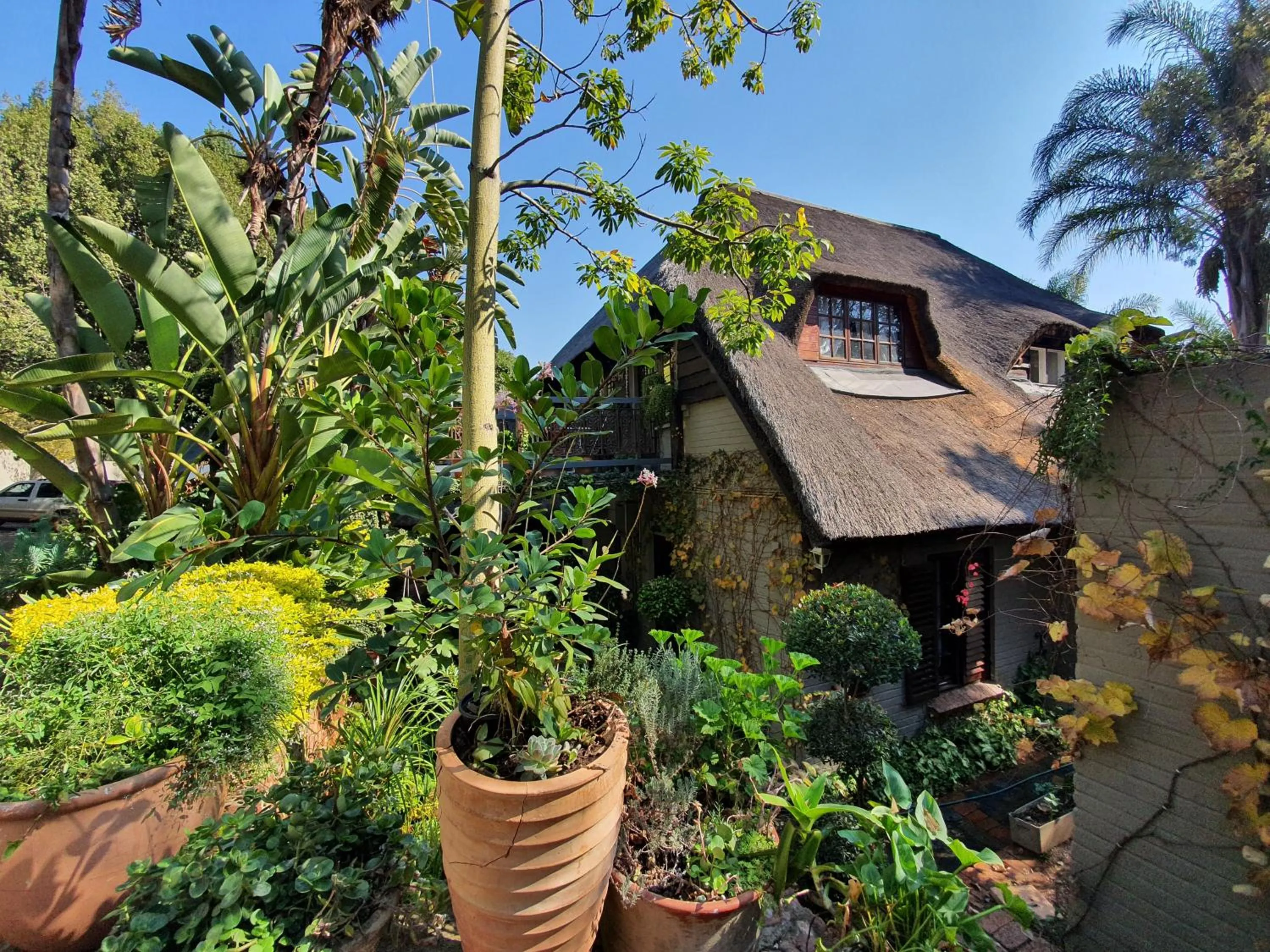 Waterhouse Guest Lodge in Waterkloof