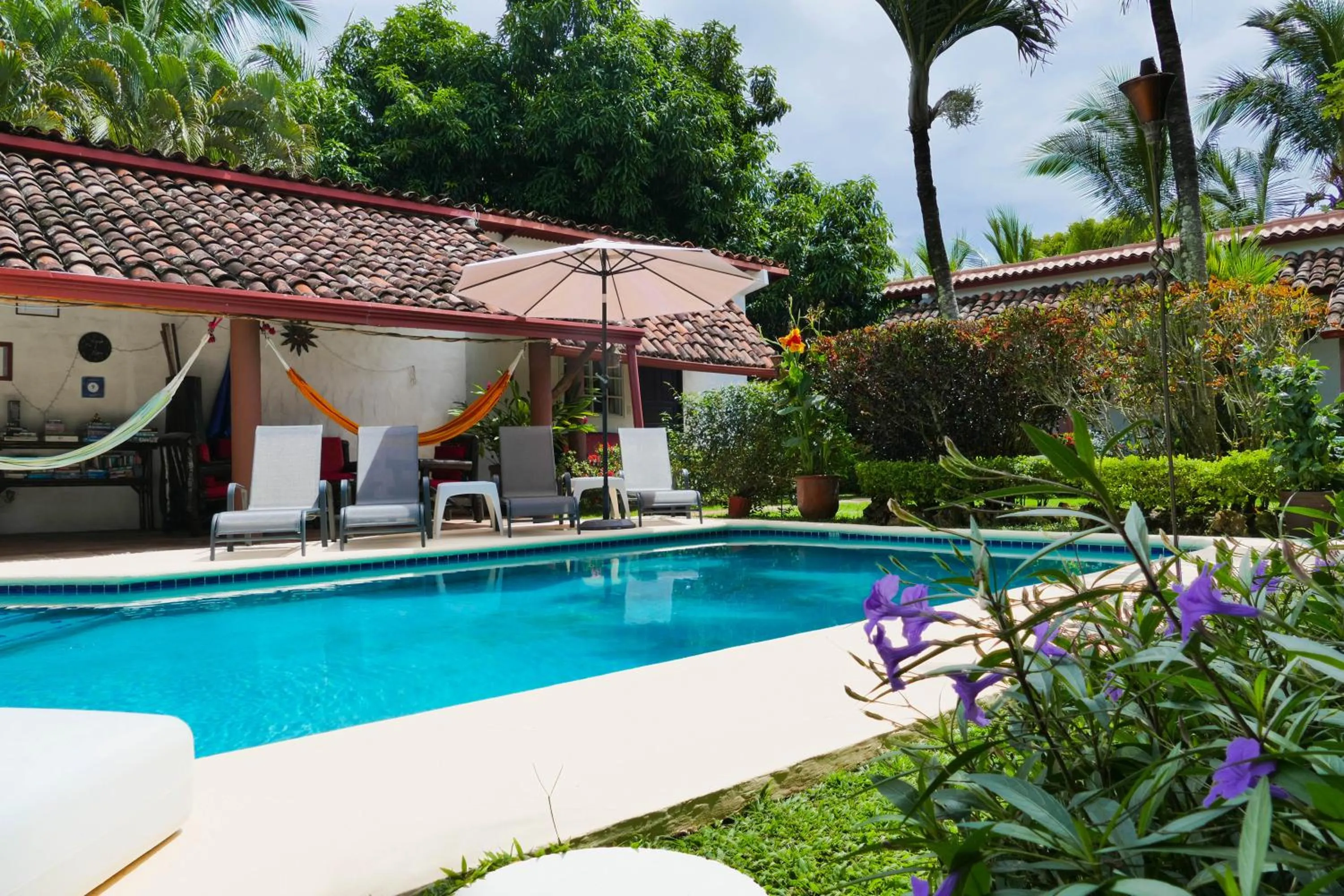 Garden view in Villa Botero By Casa Mojito