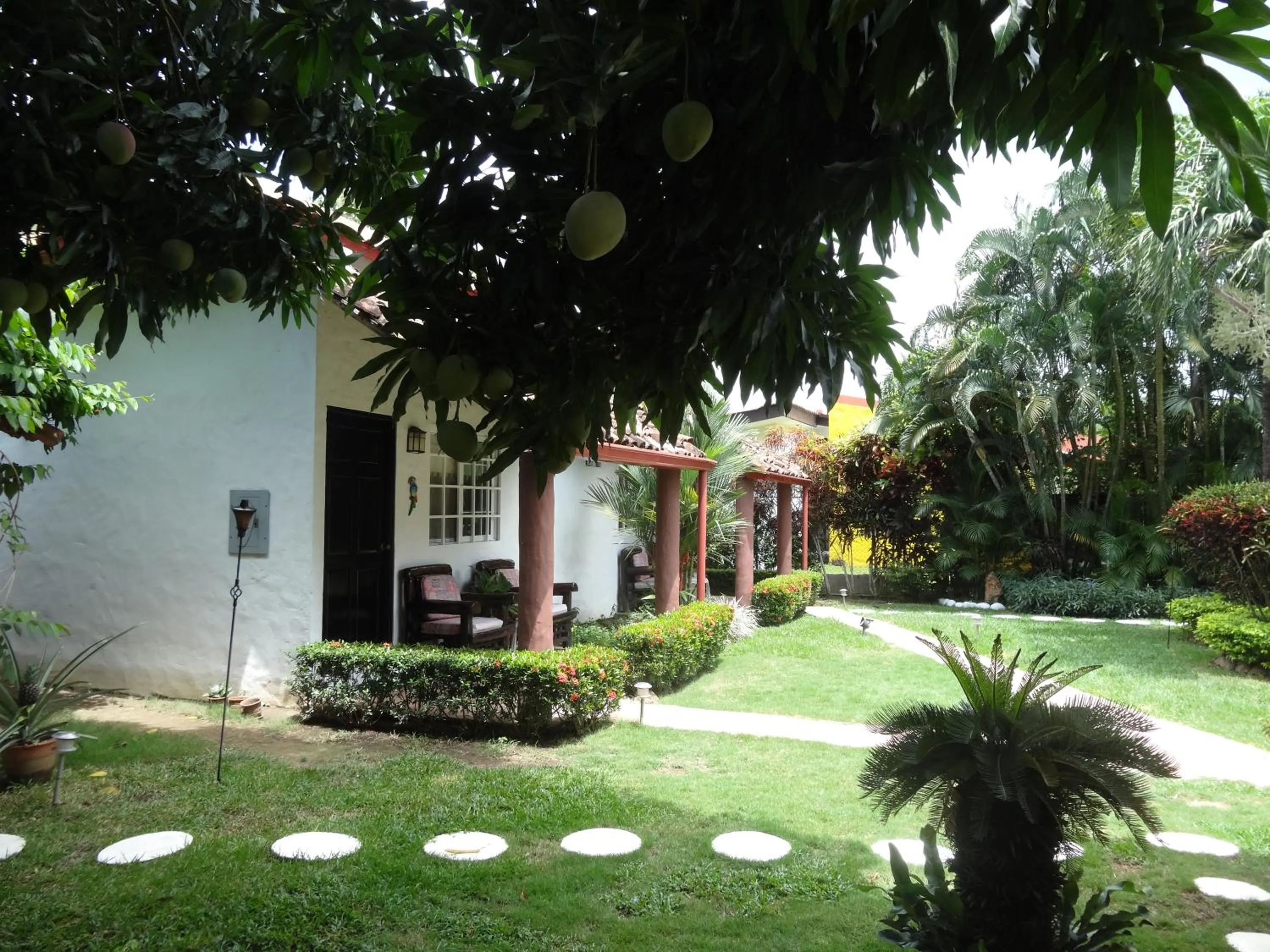 Garden in Villa Botero By Casa Mojito