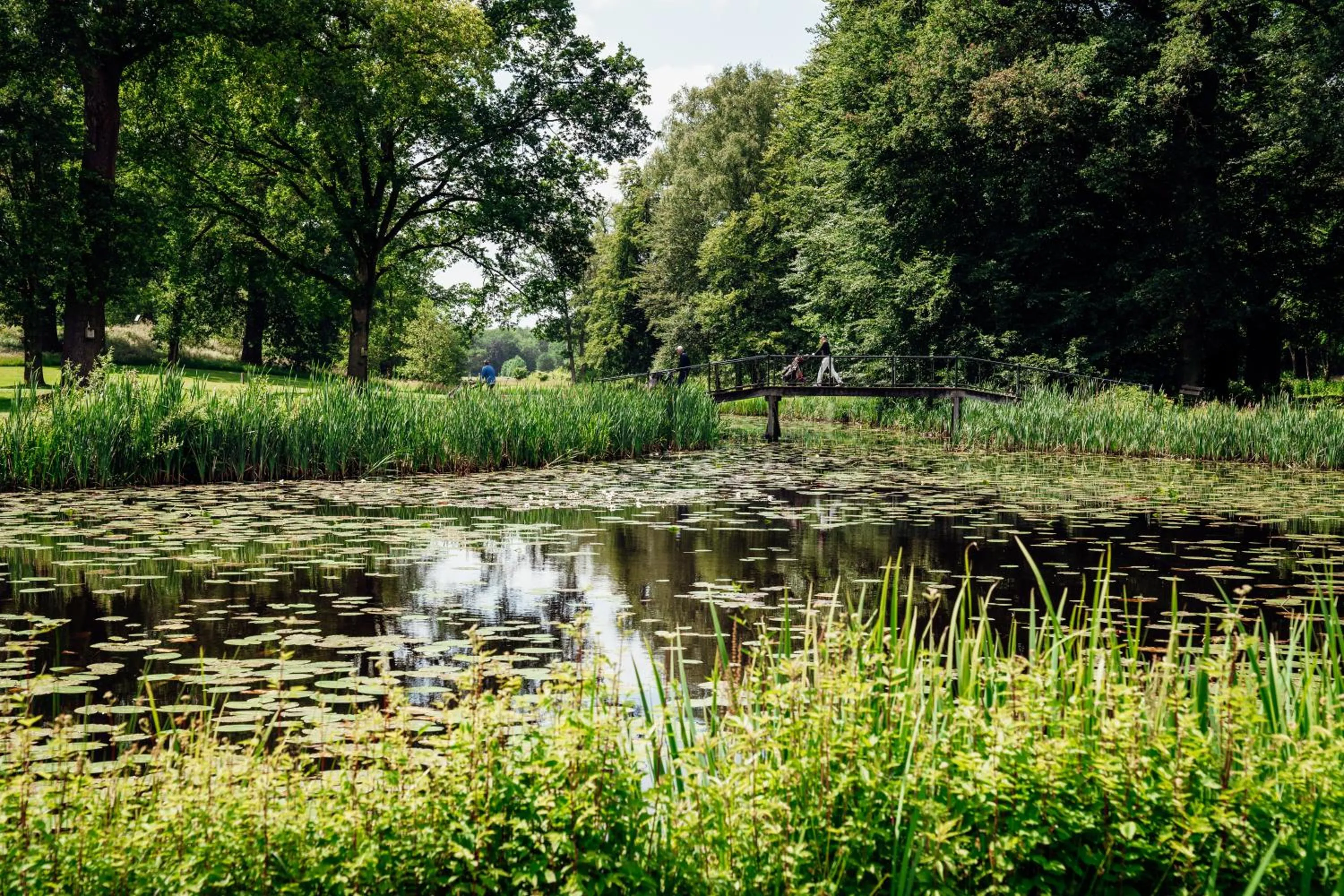 Garden in Kasteel Engelenburg - Quality Lodgings