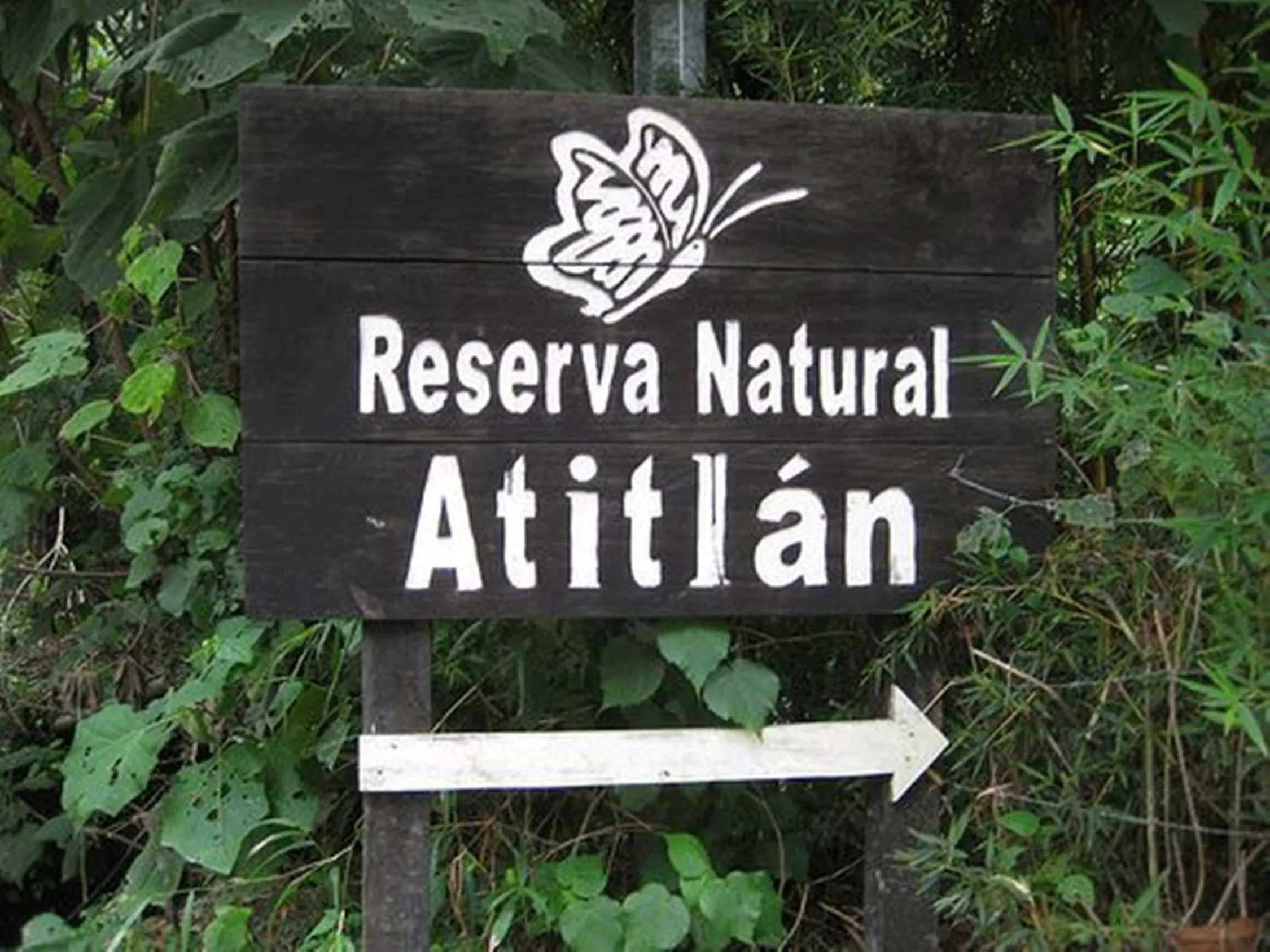 Property logo or sign in Reserva Natural Atitlan