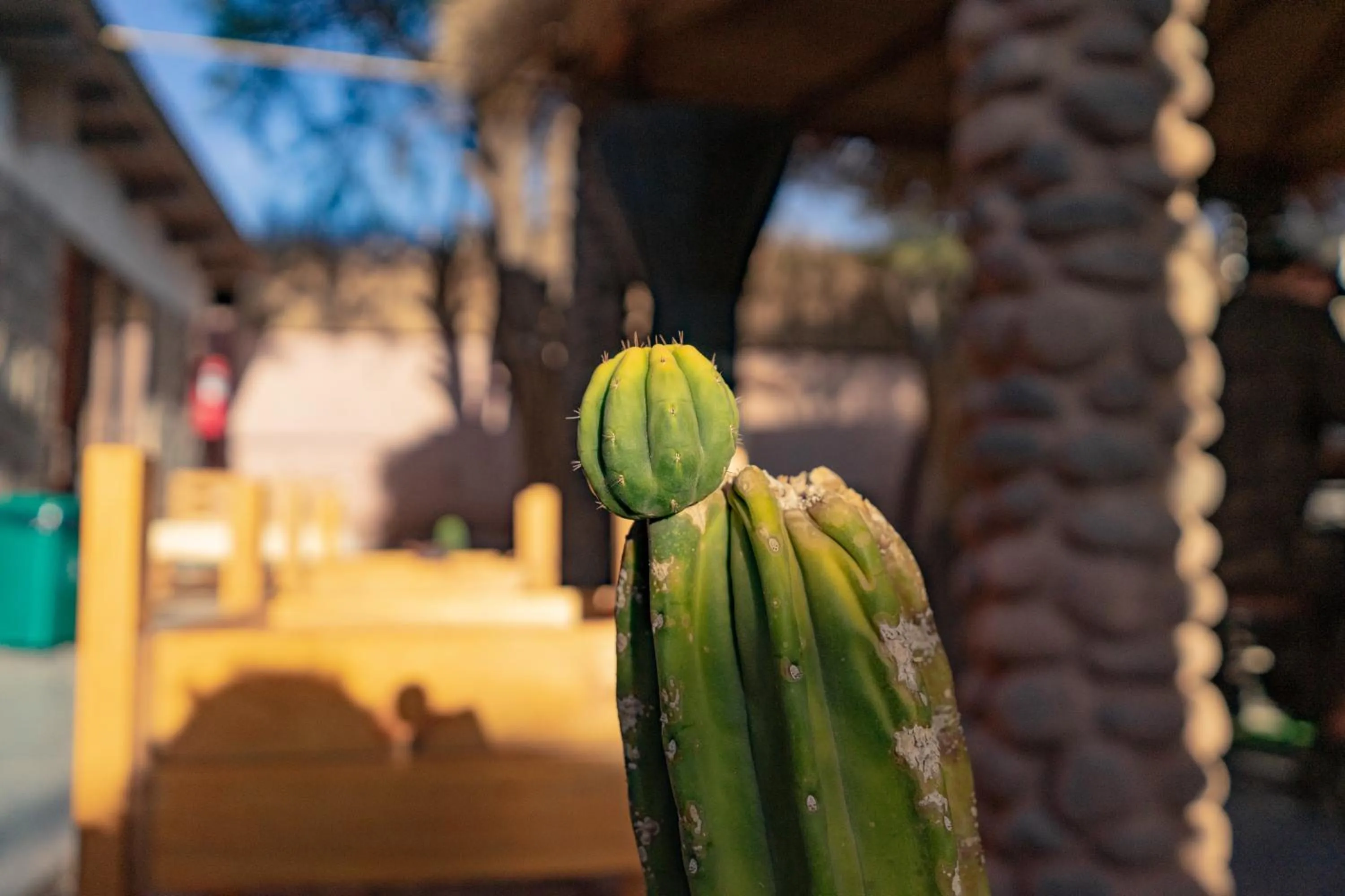 Day in Hostal Katarpe