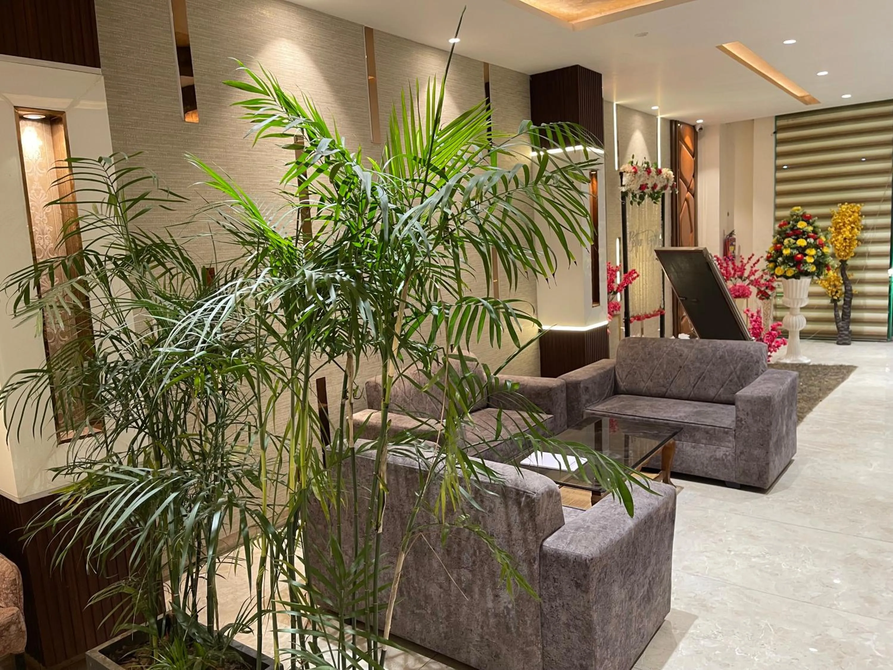 Hotel Paradise Dream