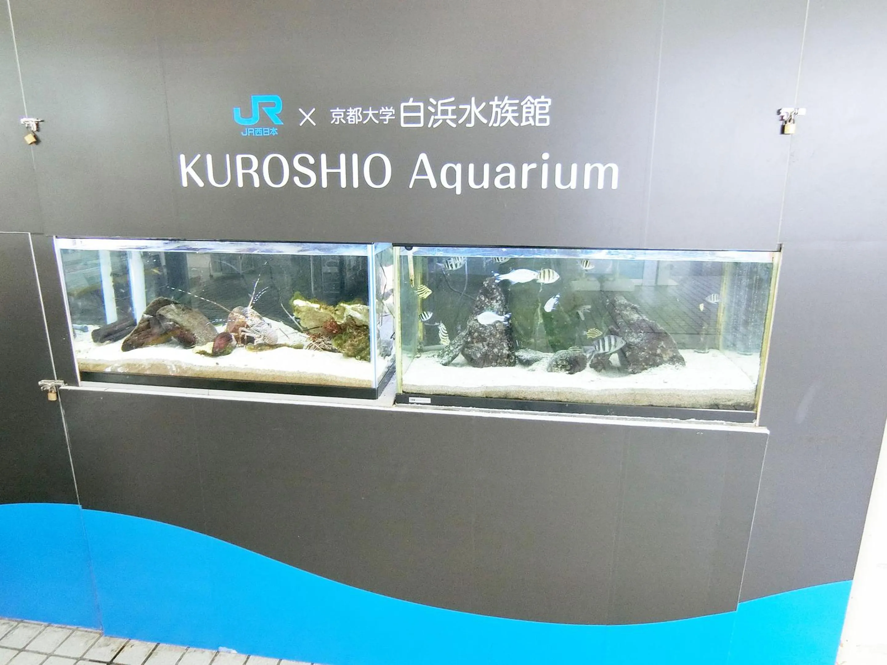 Aqua park in Minshuku Inn Shirahama Ekinoyado