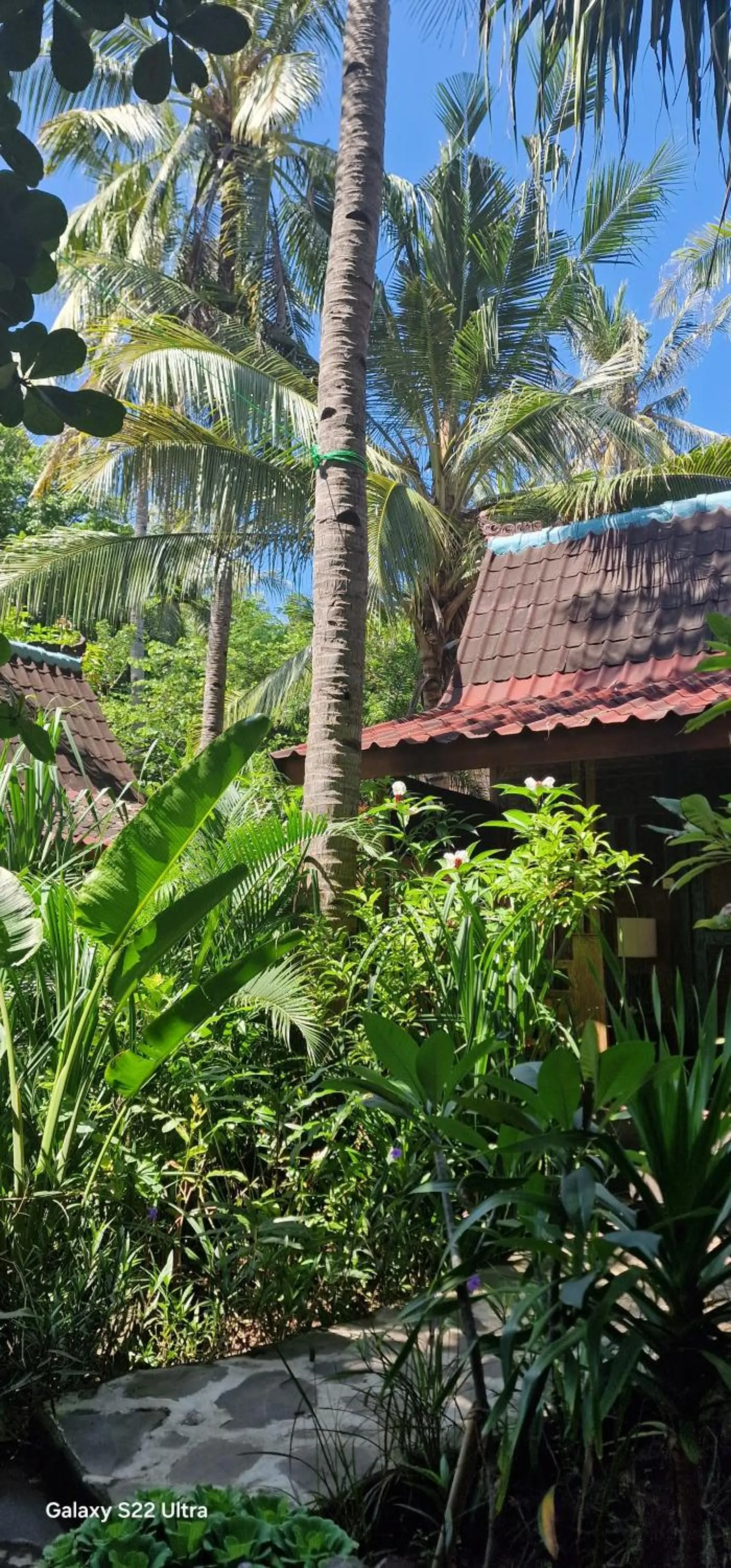 Natural landscape in Villas Light House - Eco-Traditional Joglo