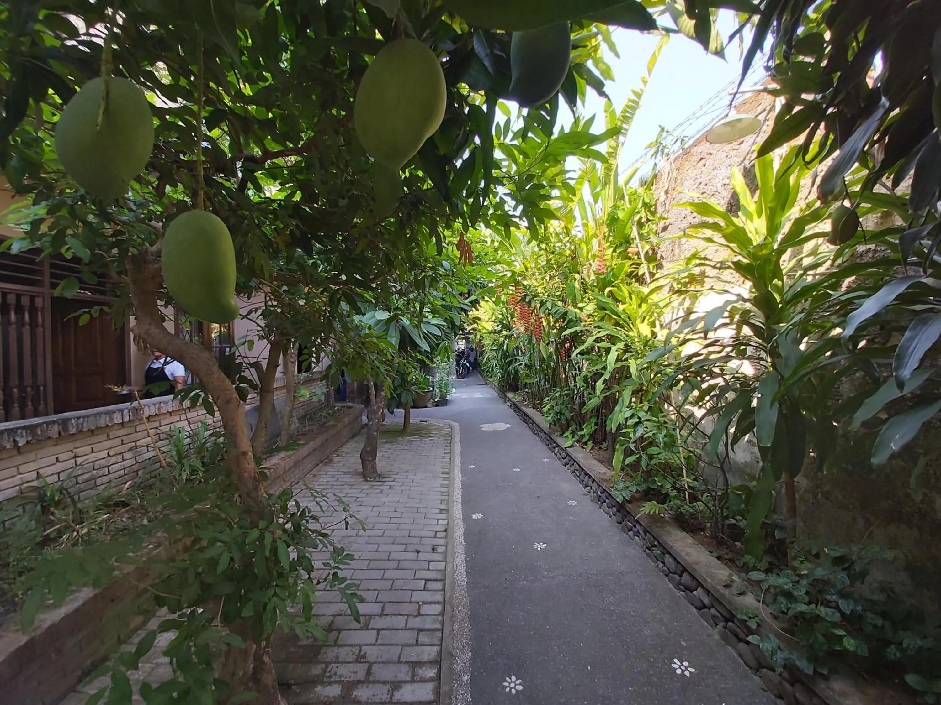 Garden in Cafe Wayan Cottages Senggigi