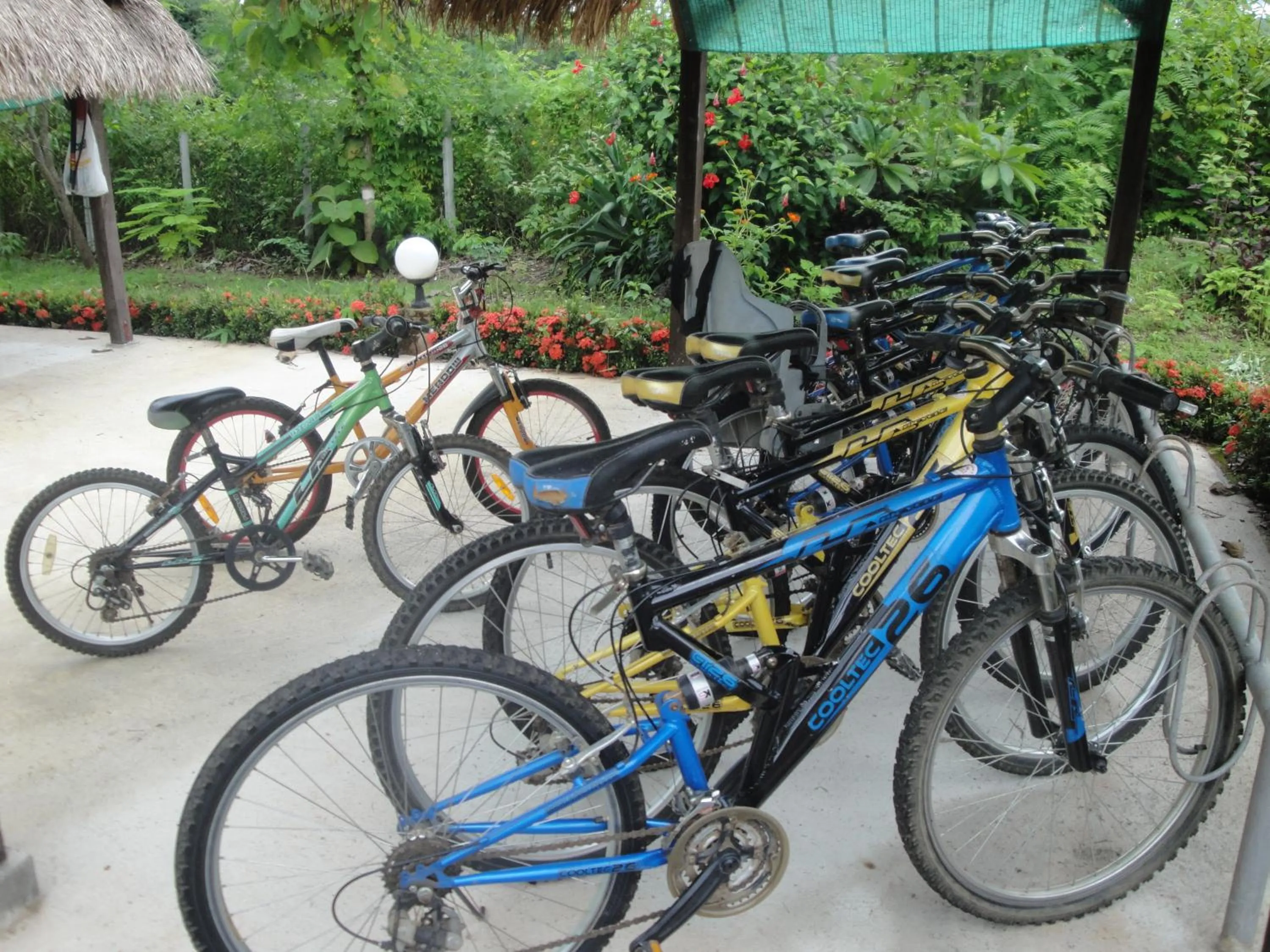 Other in Mai Siam Resort