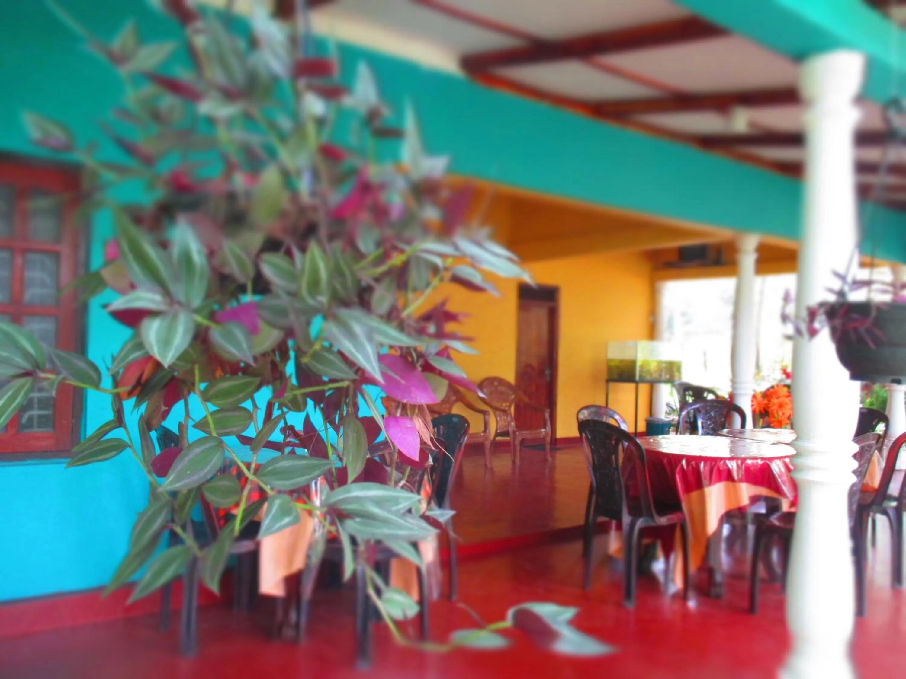 Property building in Palitha Homestay