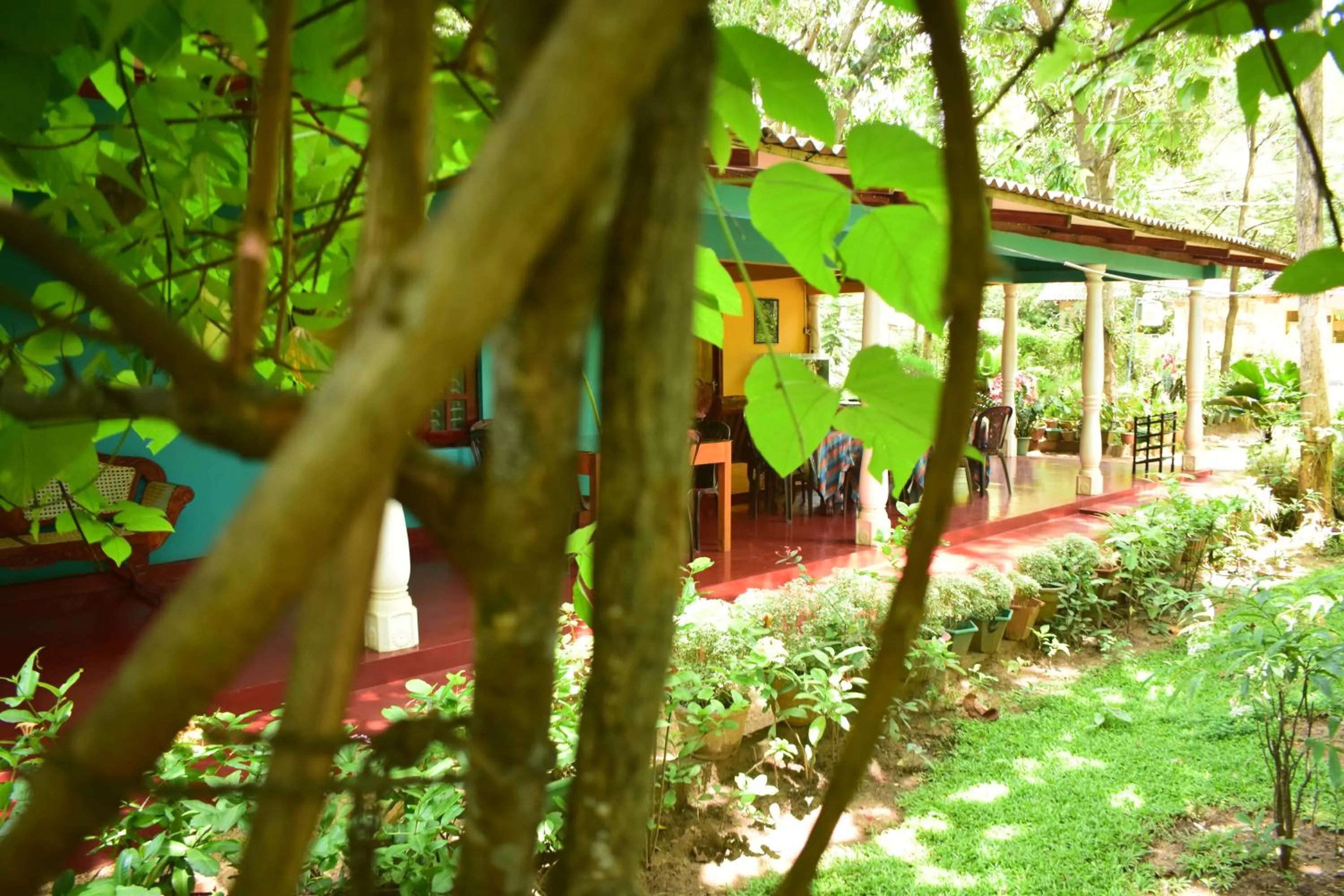 Property building in Palitha Homestay
