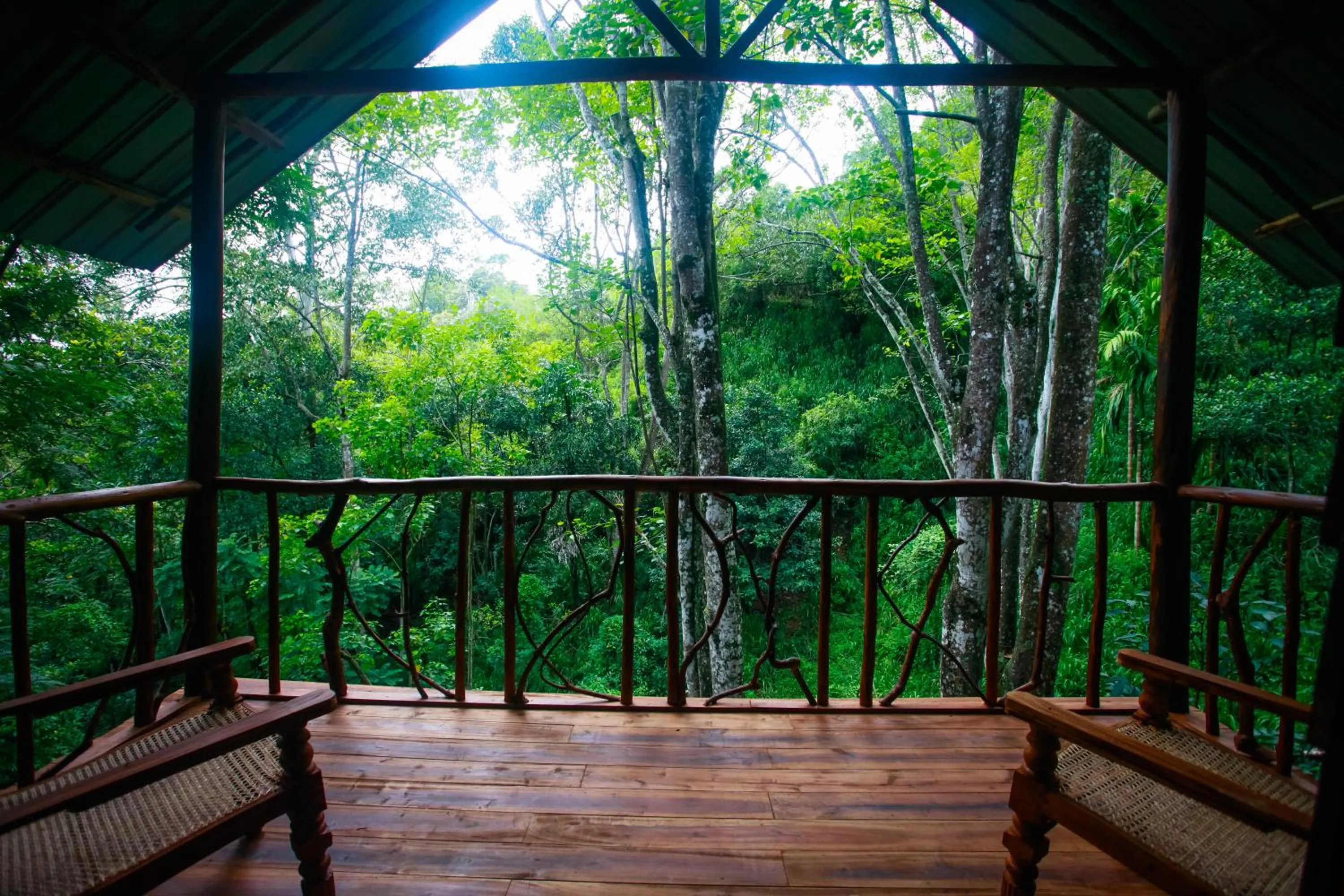 Balcony/Terrace in Ella Ecolodge