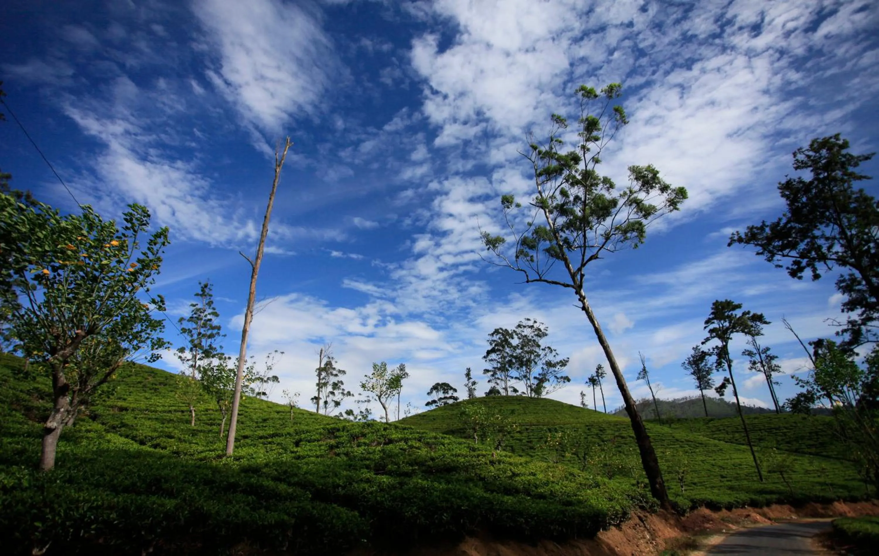 Nearby landmark in Ella Ecolodge