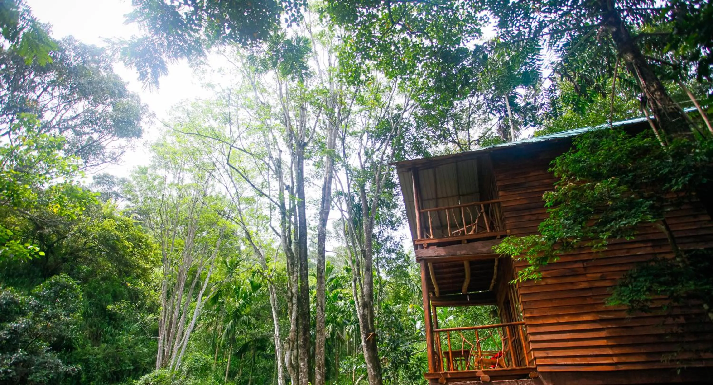 Bird's eye view in Ella Ecolodge