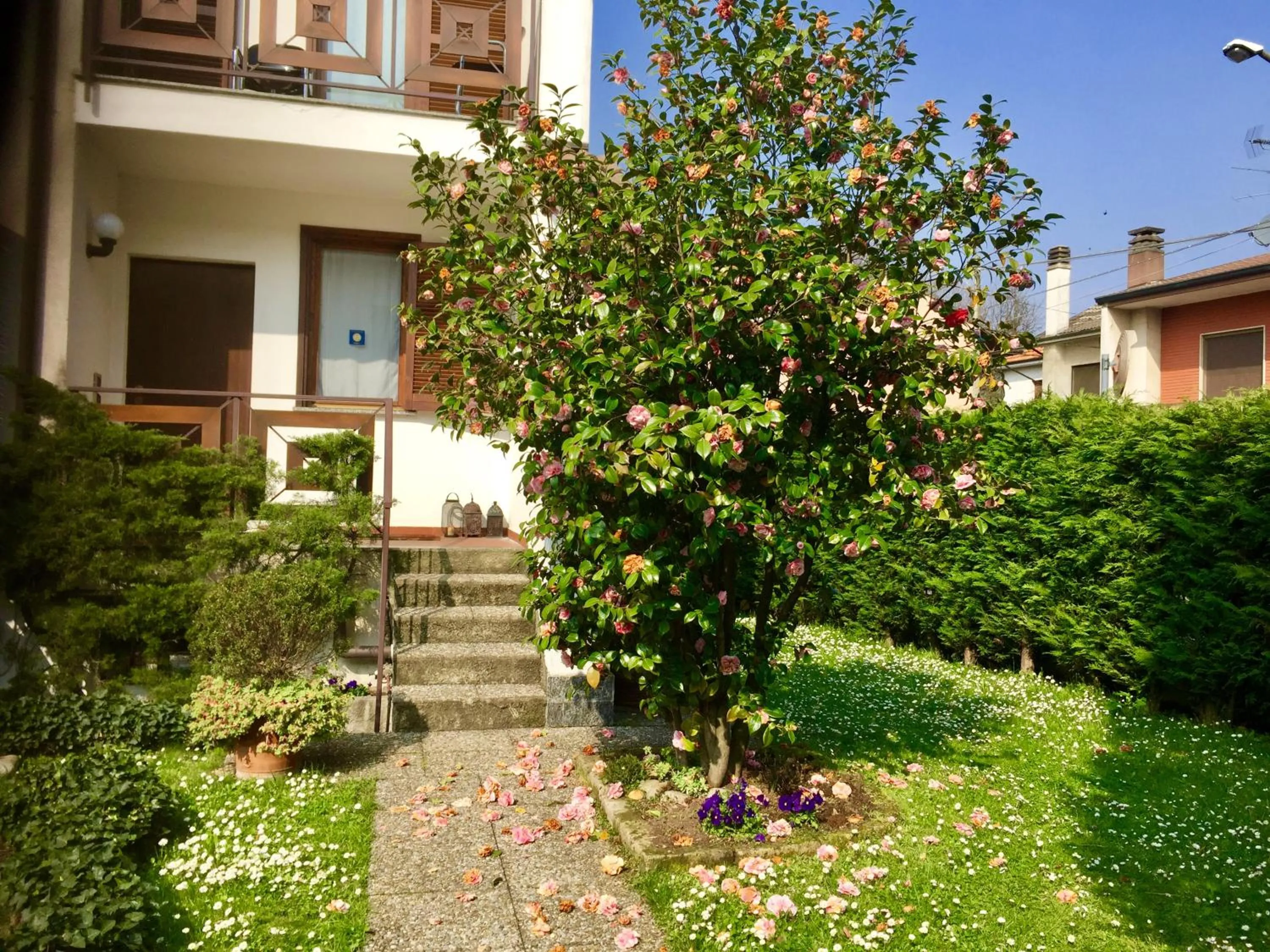 Garden view in Rana B&B