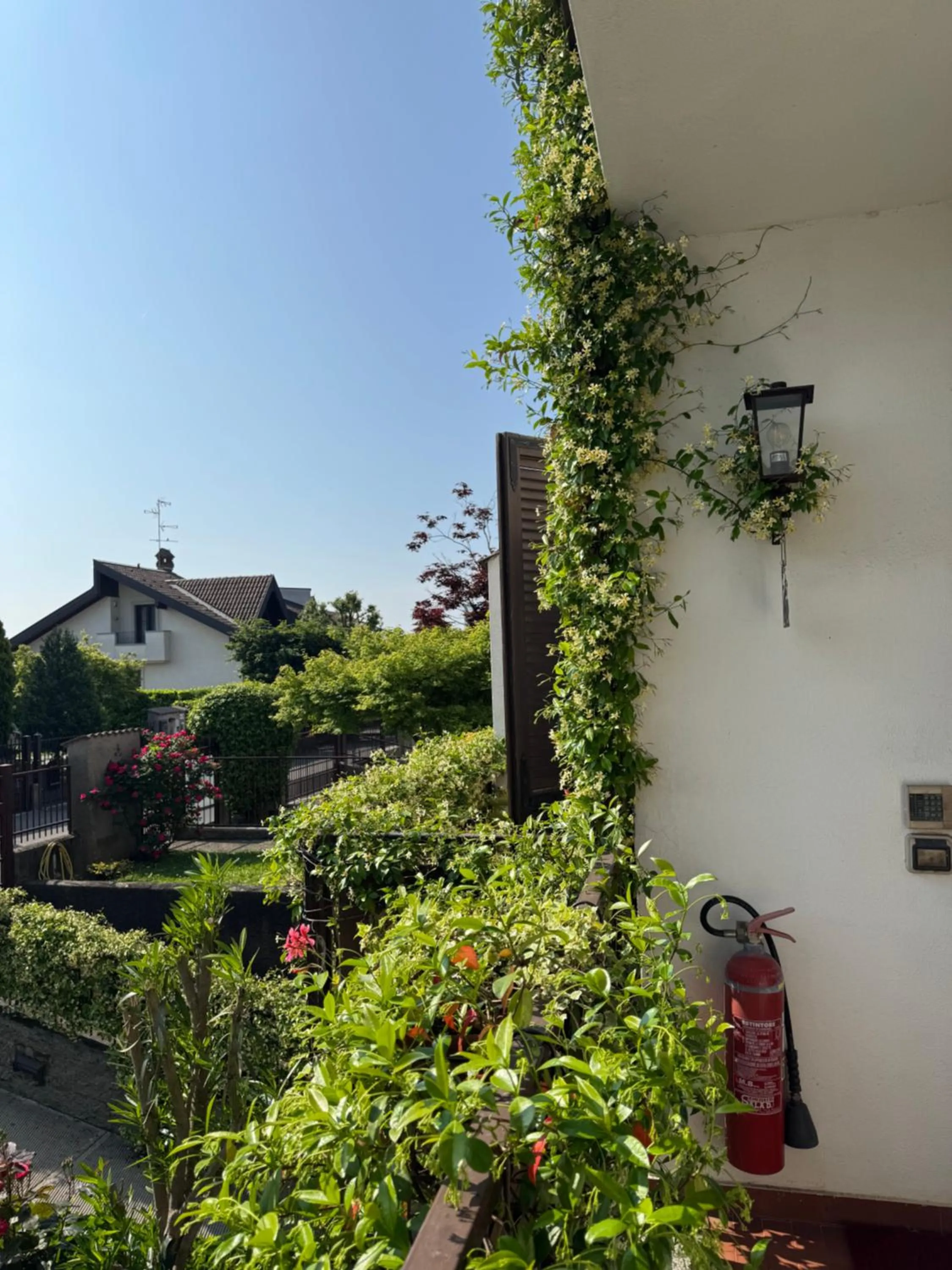 Garden view in Rana B&B