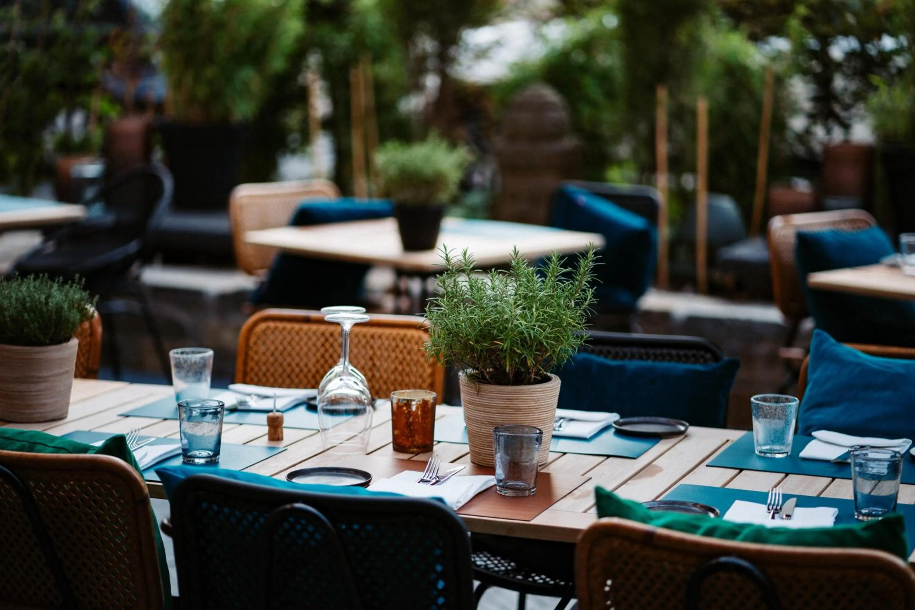 Restaurant/places to eat in Thehotel at LIPPISCHER HOF