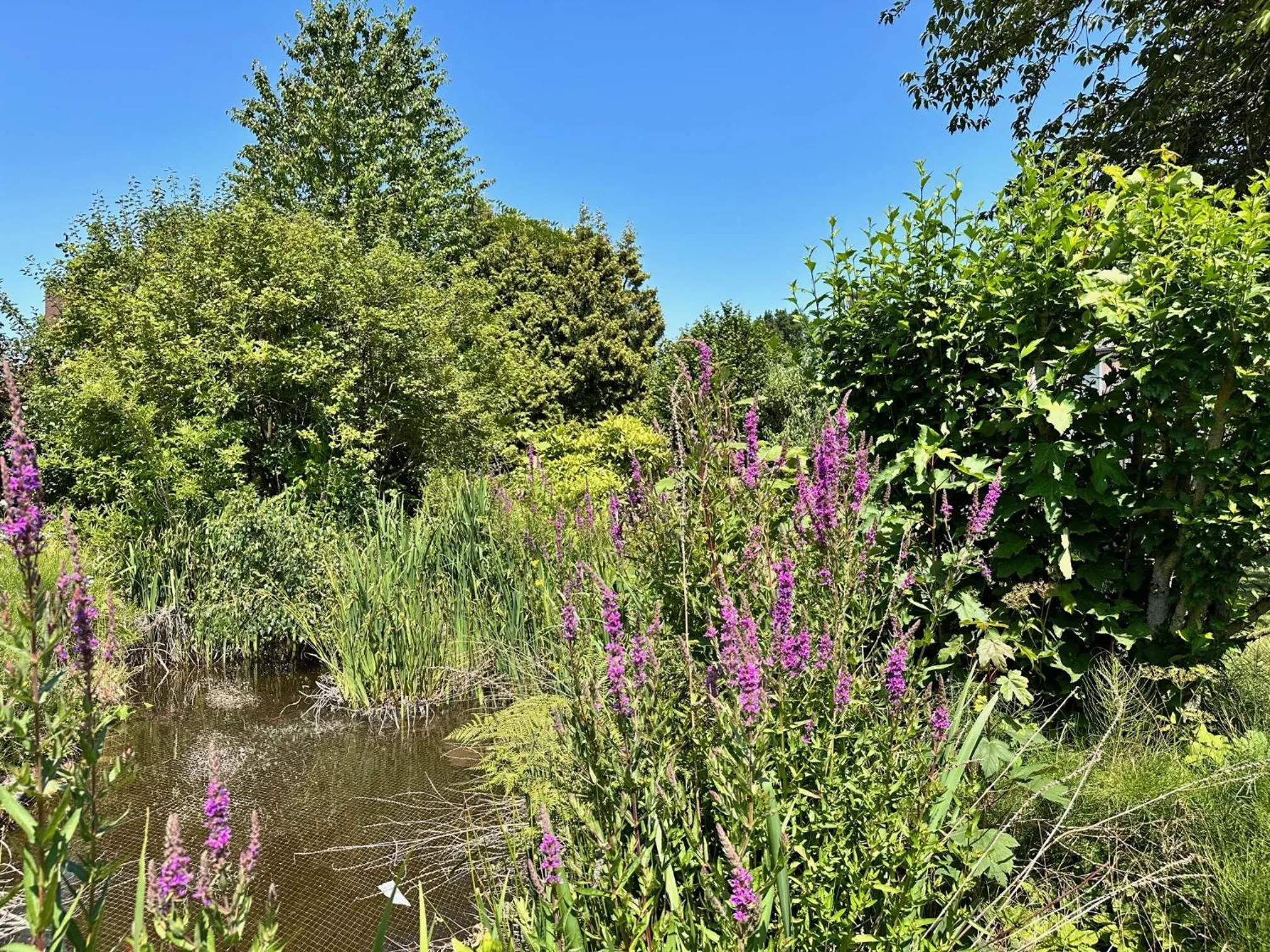 Day in Hotel De Lange Akker