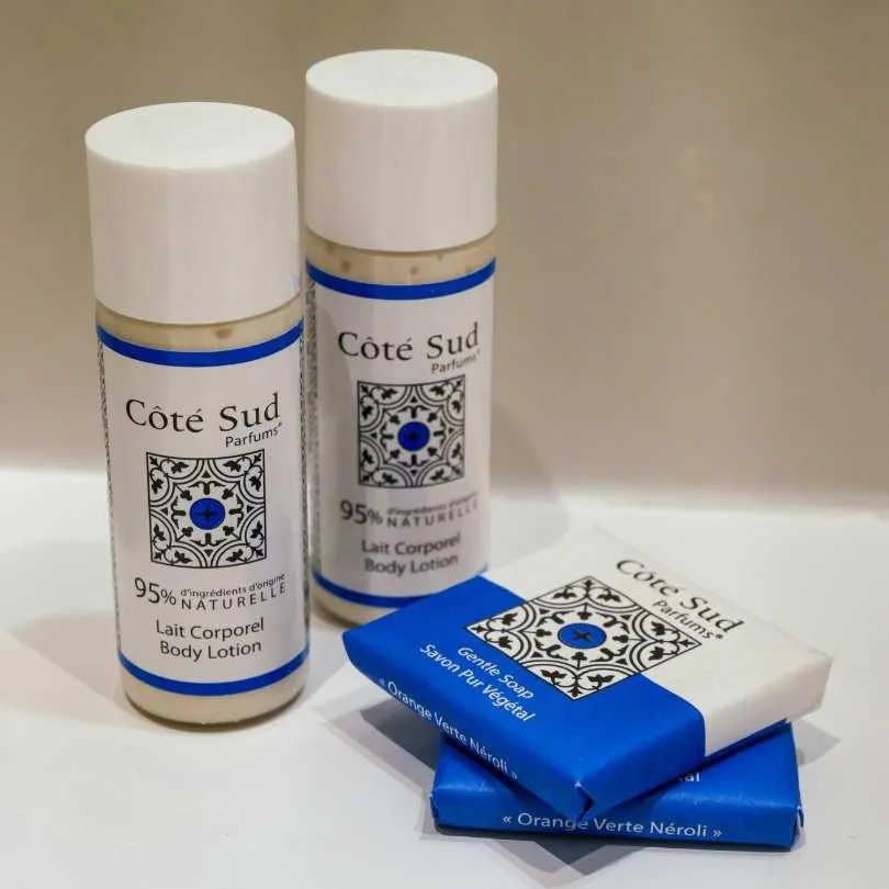 LE CENTRAL HOTEL BAR RESTAURANT