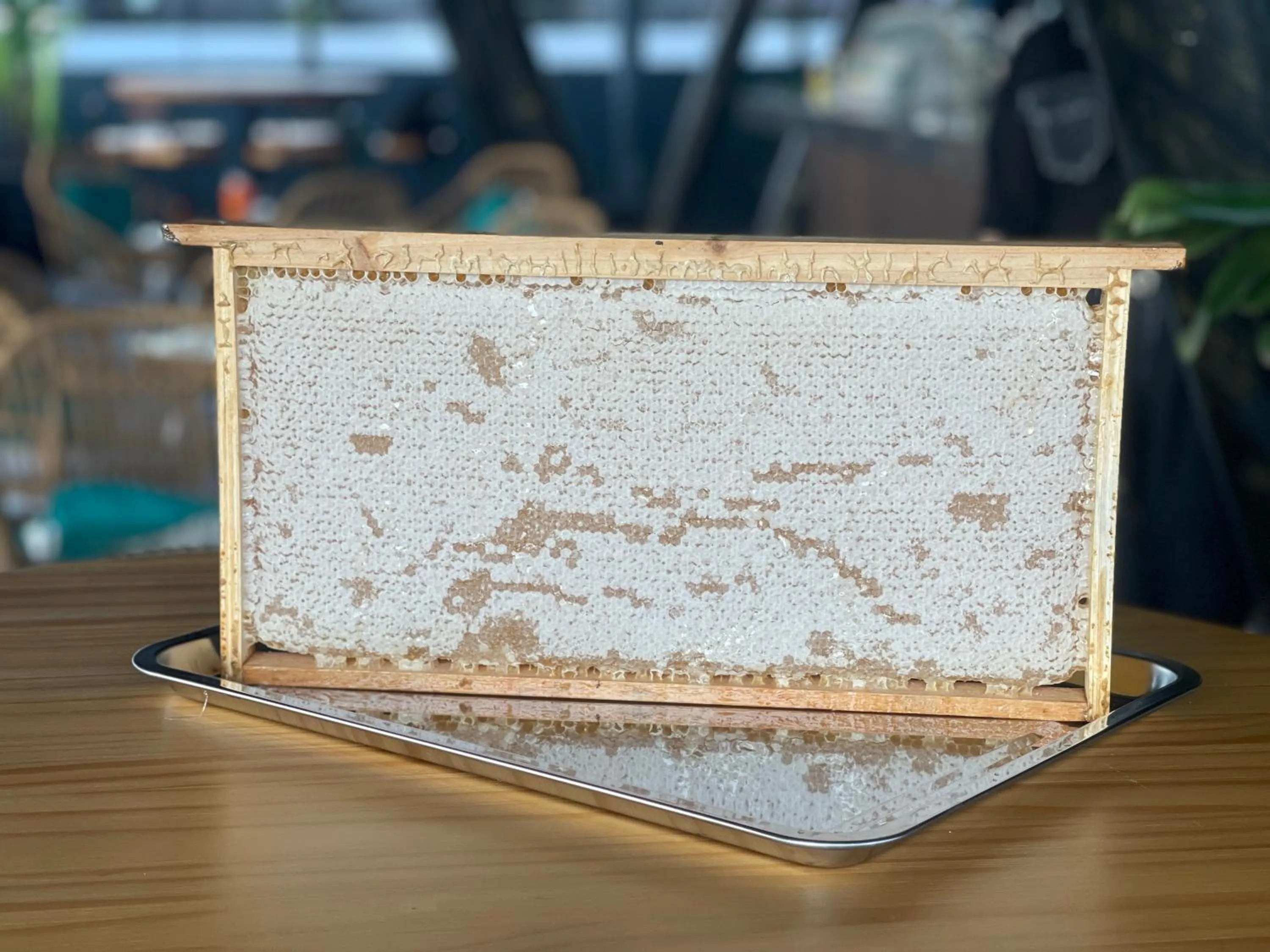 Restaurant/places to eat in Sunflower World Hotel