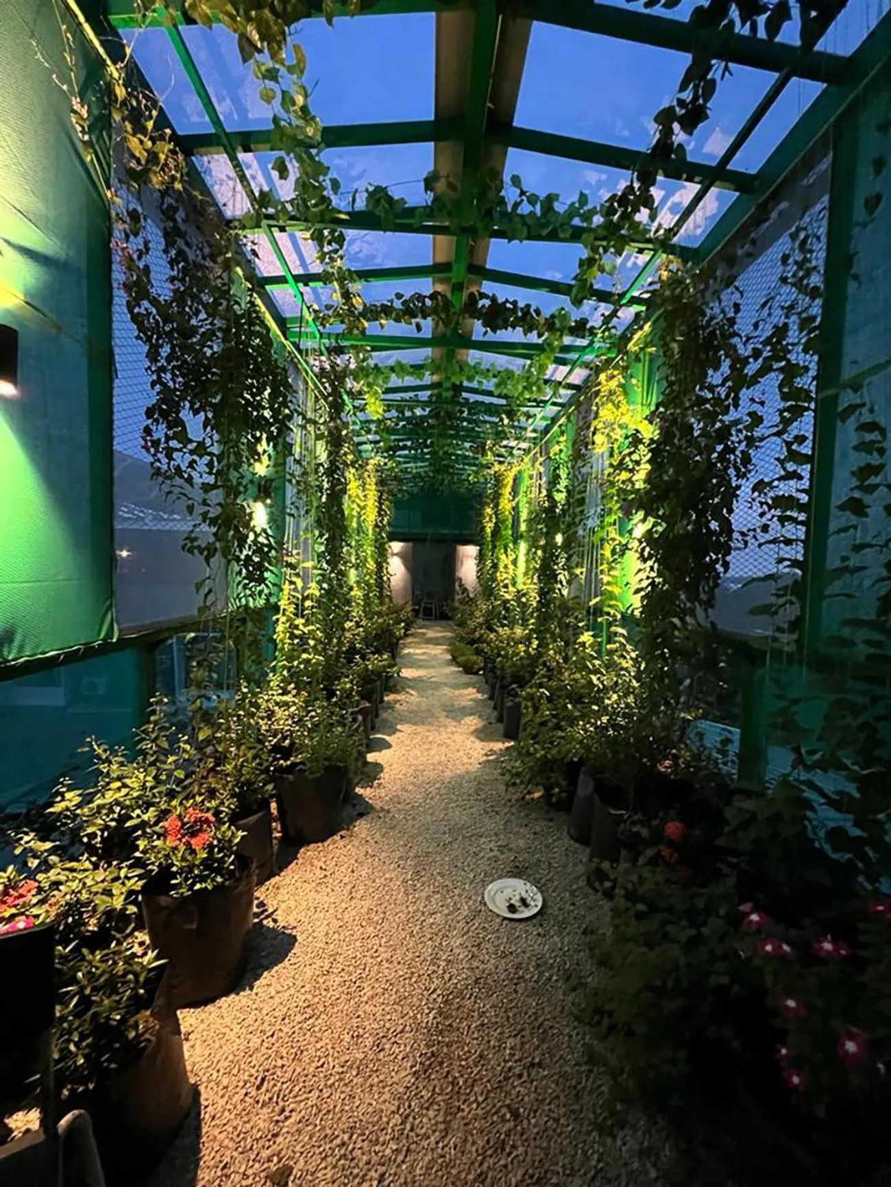 Garden in Sunflower World Hotel