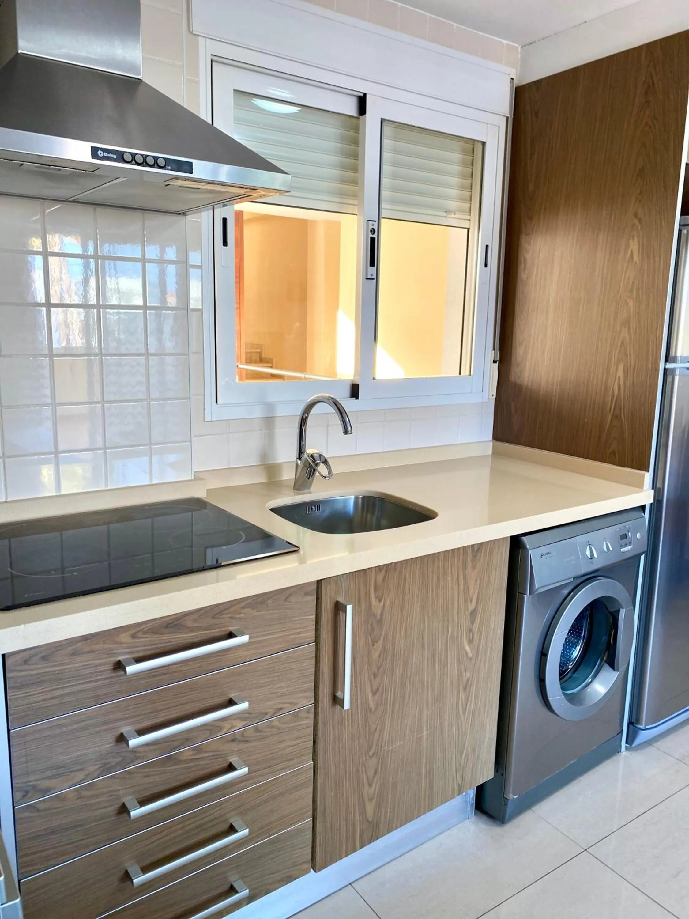 dishwasher in Apartamentos Carlton VyB