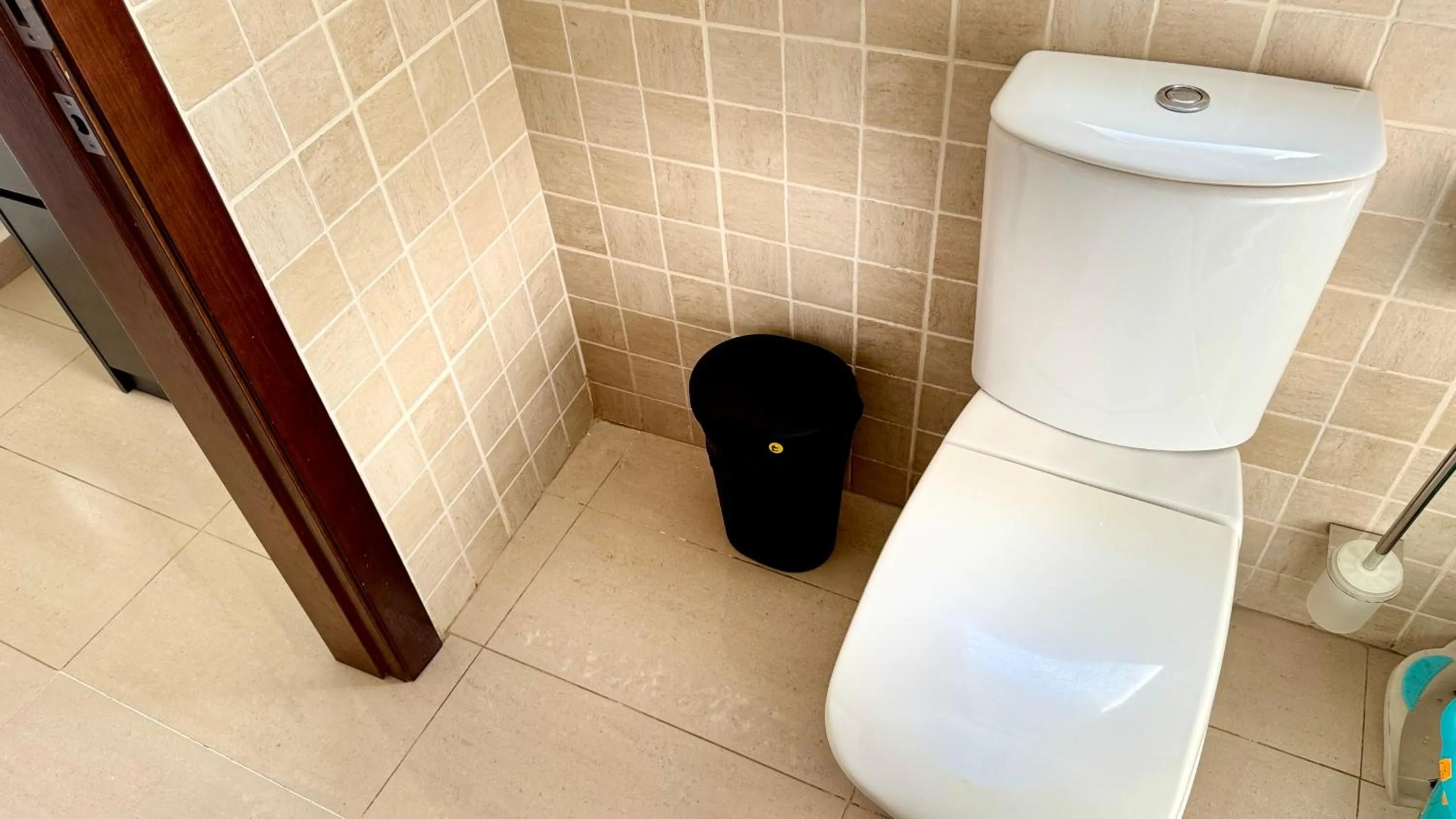 Toilet in Apartamentos Carlton VyB