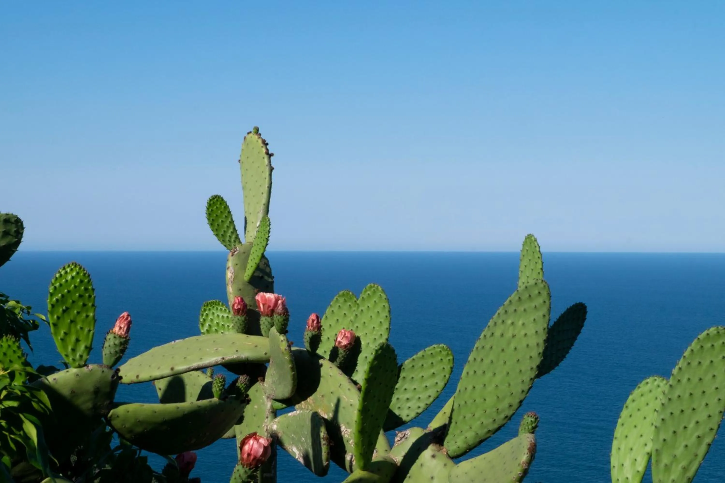 Nearby landmark in El Far Hotel Restaurant