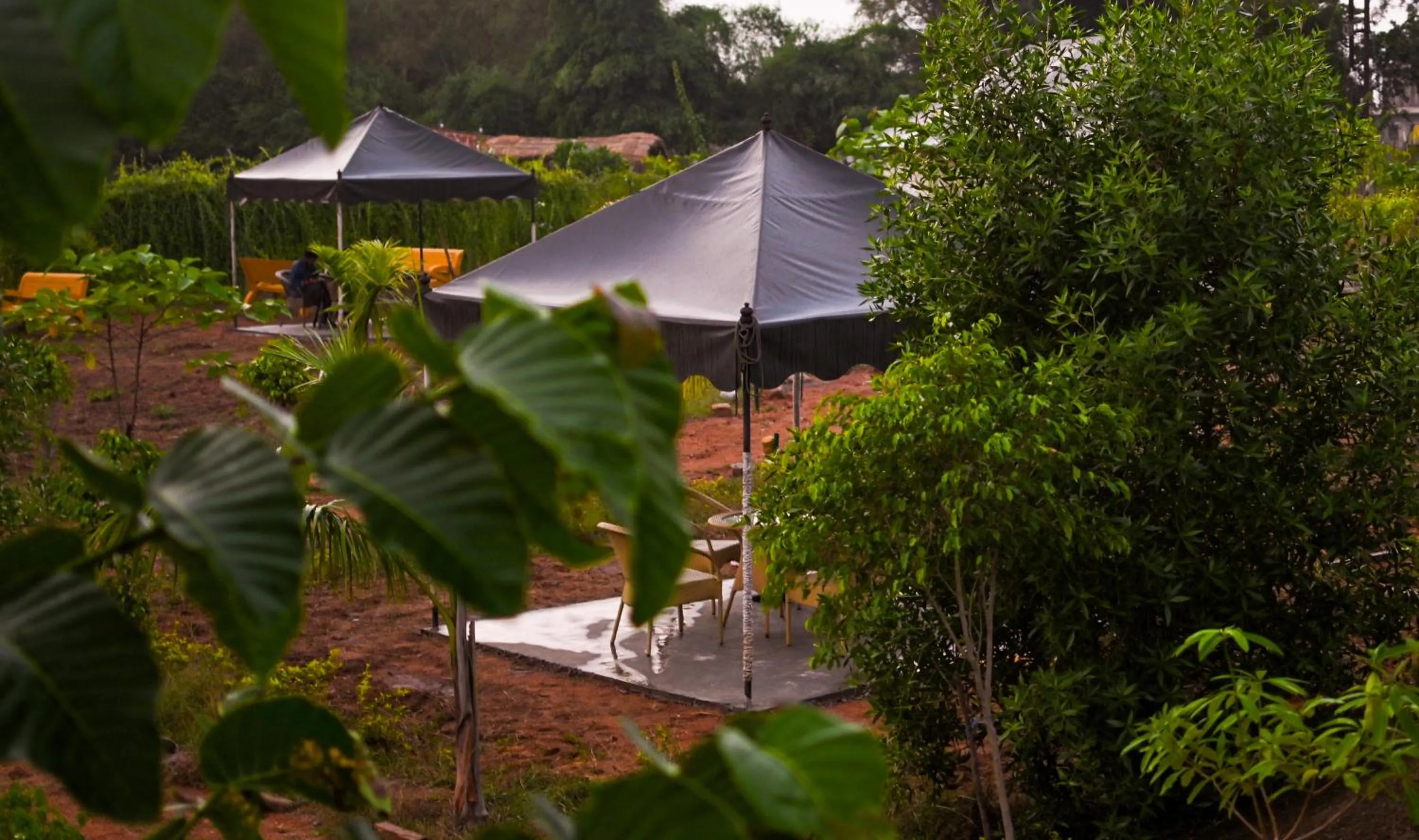 Garden in Bundeli Camps and Resorts, Panna