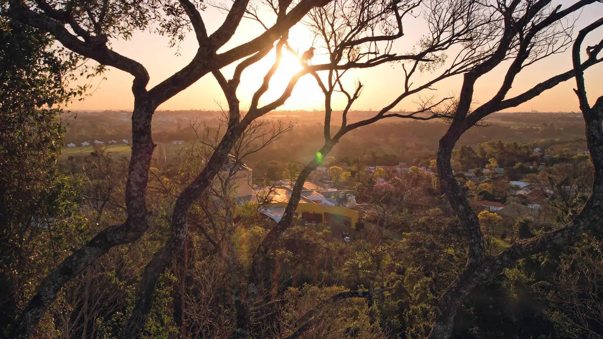 Hiking in Interludium Iguassu Convention Hotel