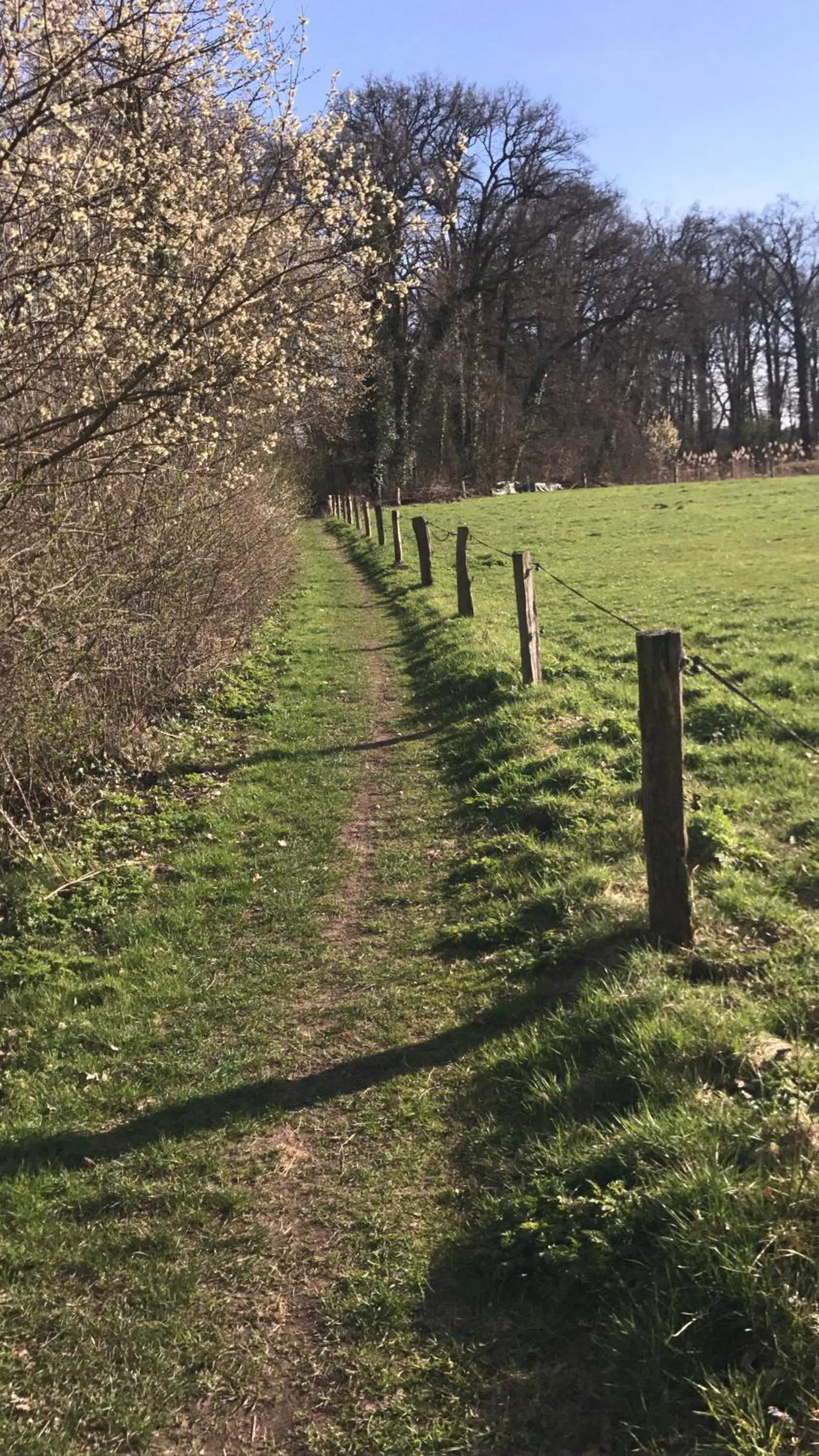 Natural landscape in Hotel Jachtlust