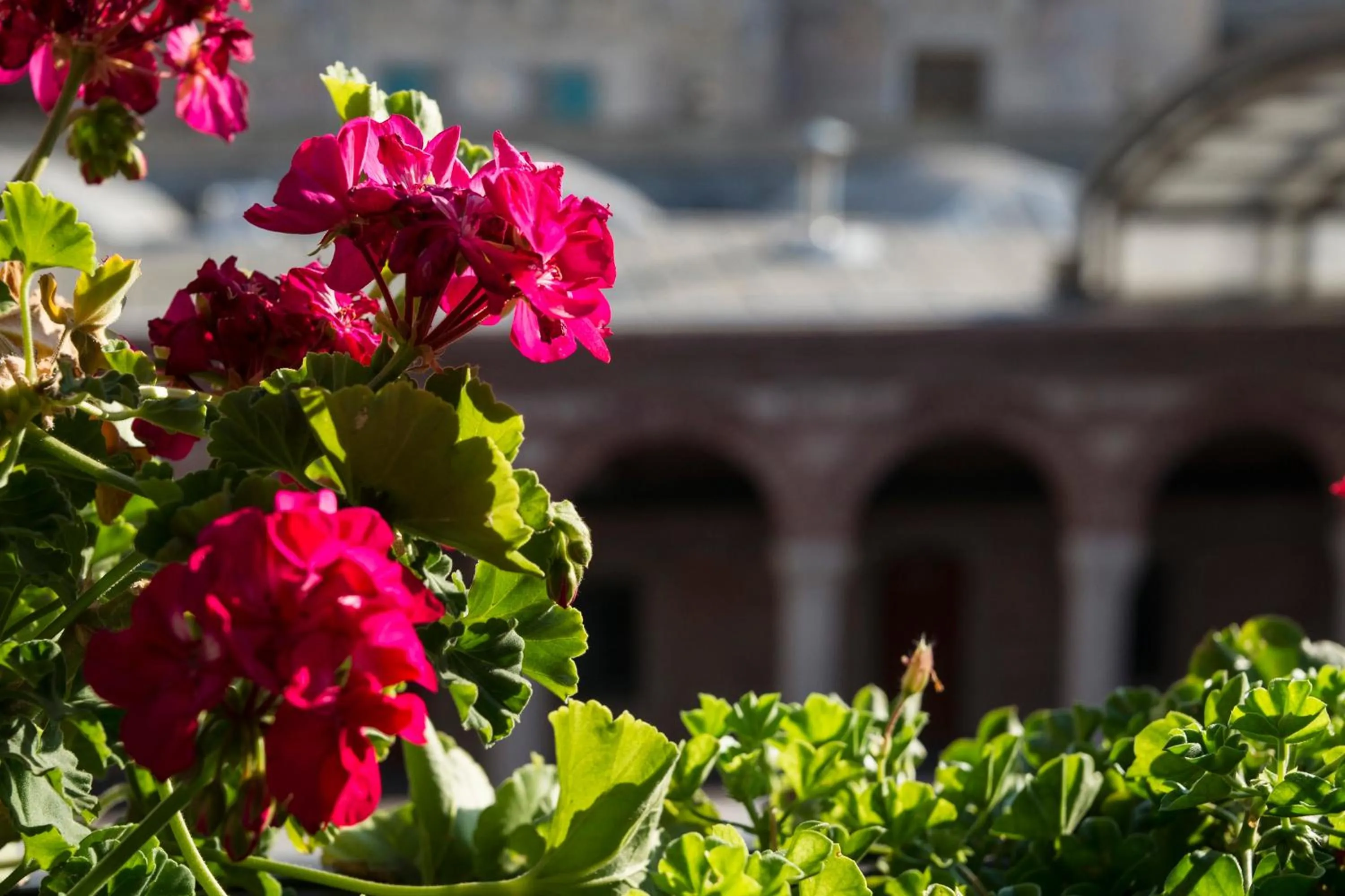 Balcony/Terrace in Régie Ottoman Istanbul - Special Category