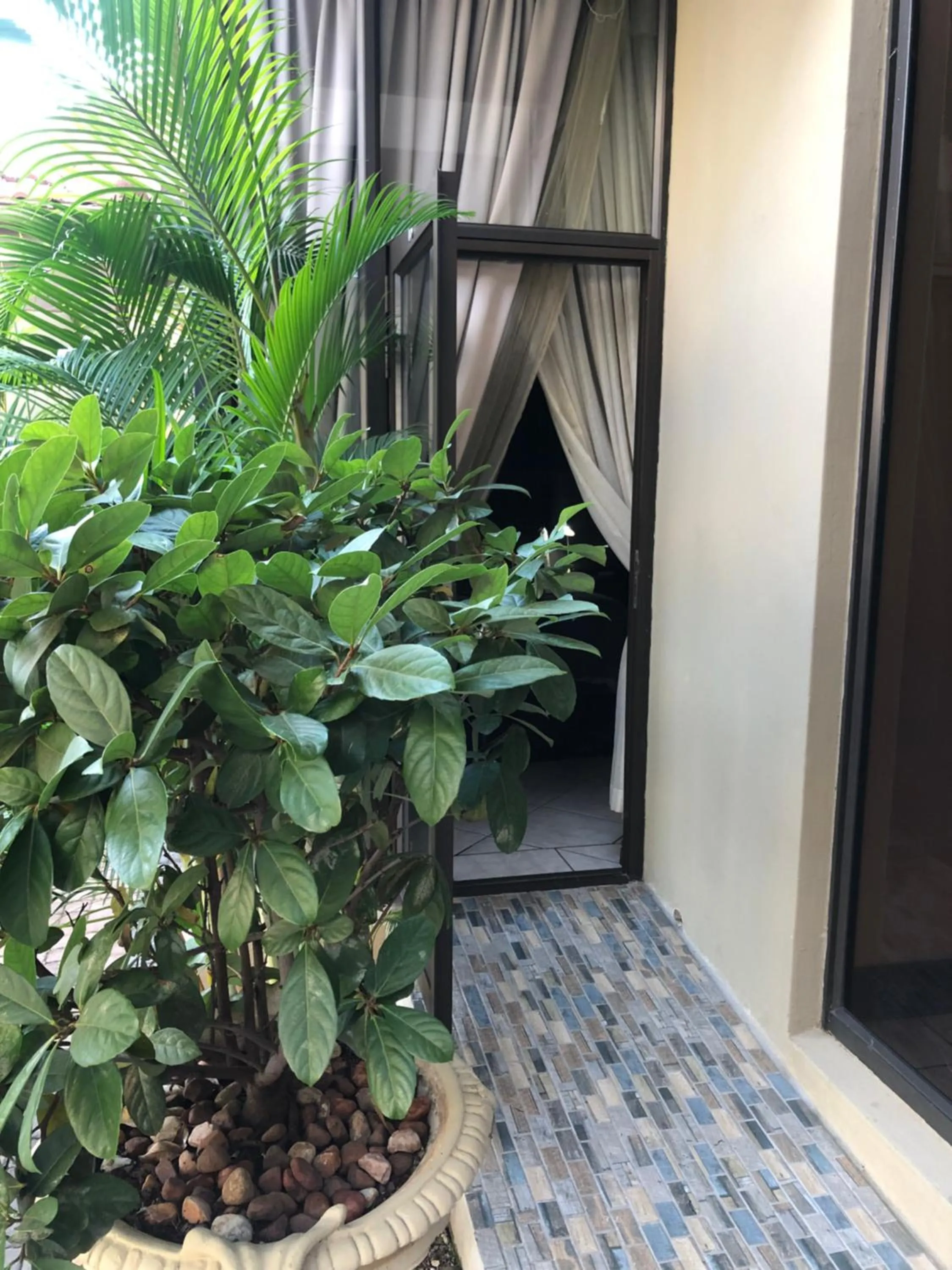 Facade/entrance in Casa Flora Guesthouse