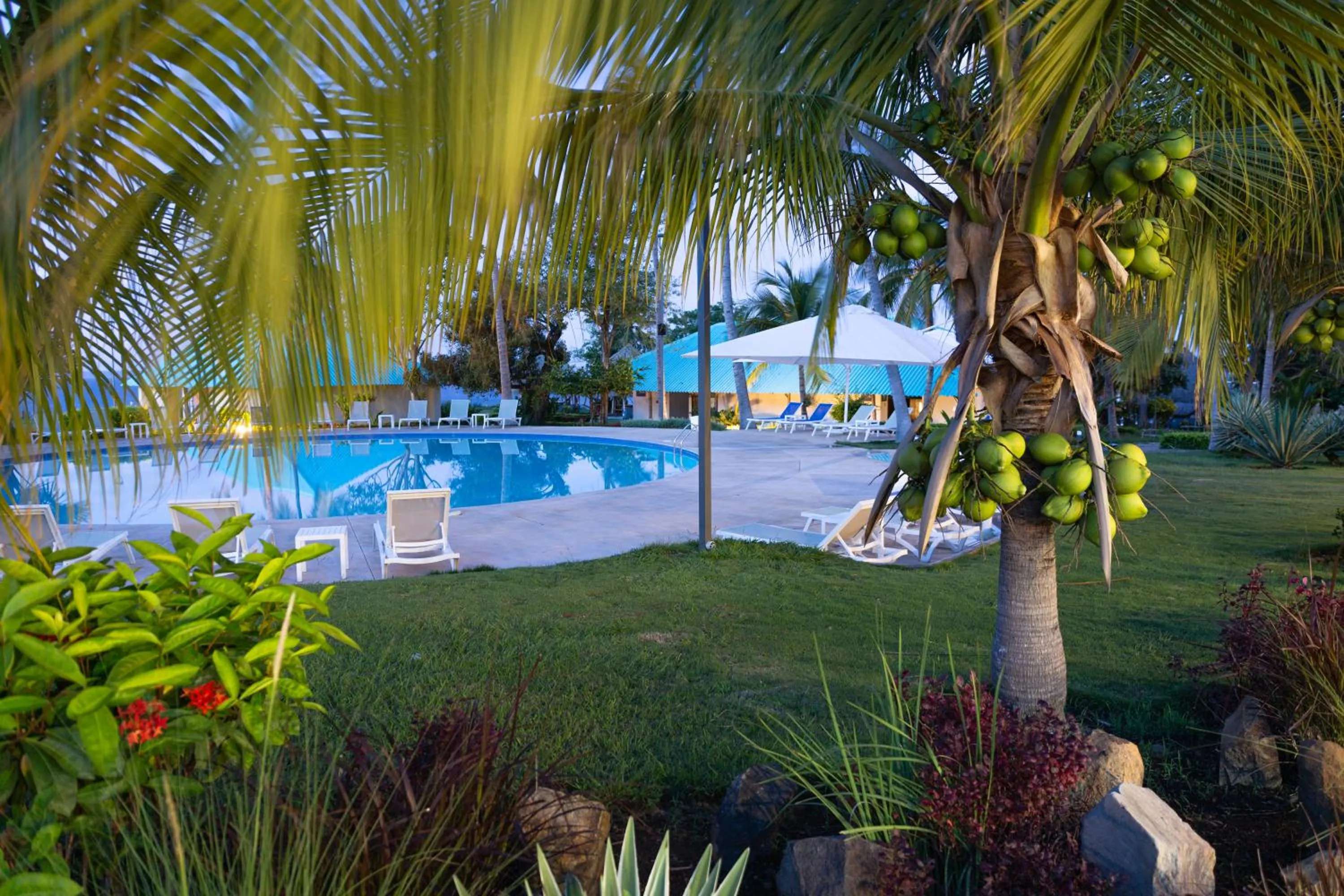 Swimming pool in Atami Escape Resort